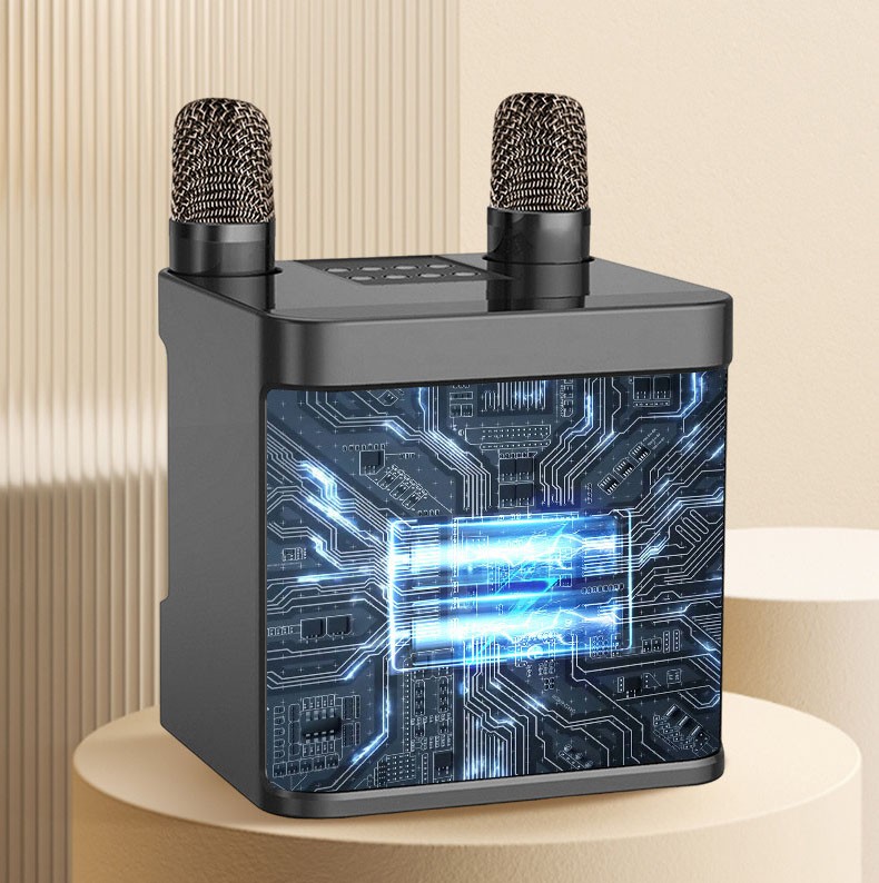 Karaoke Machine Portable Bluetooth Karaoke Speaker With 2 Wireless Microphones photo 7