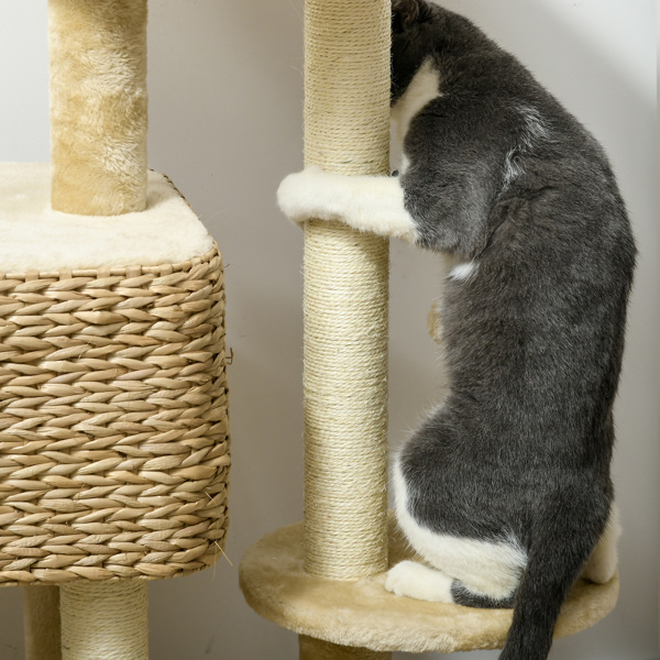 Cat Tree photo 7