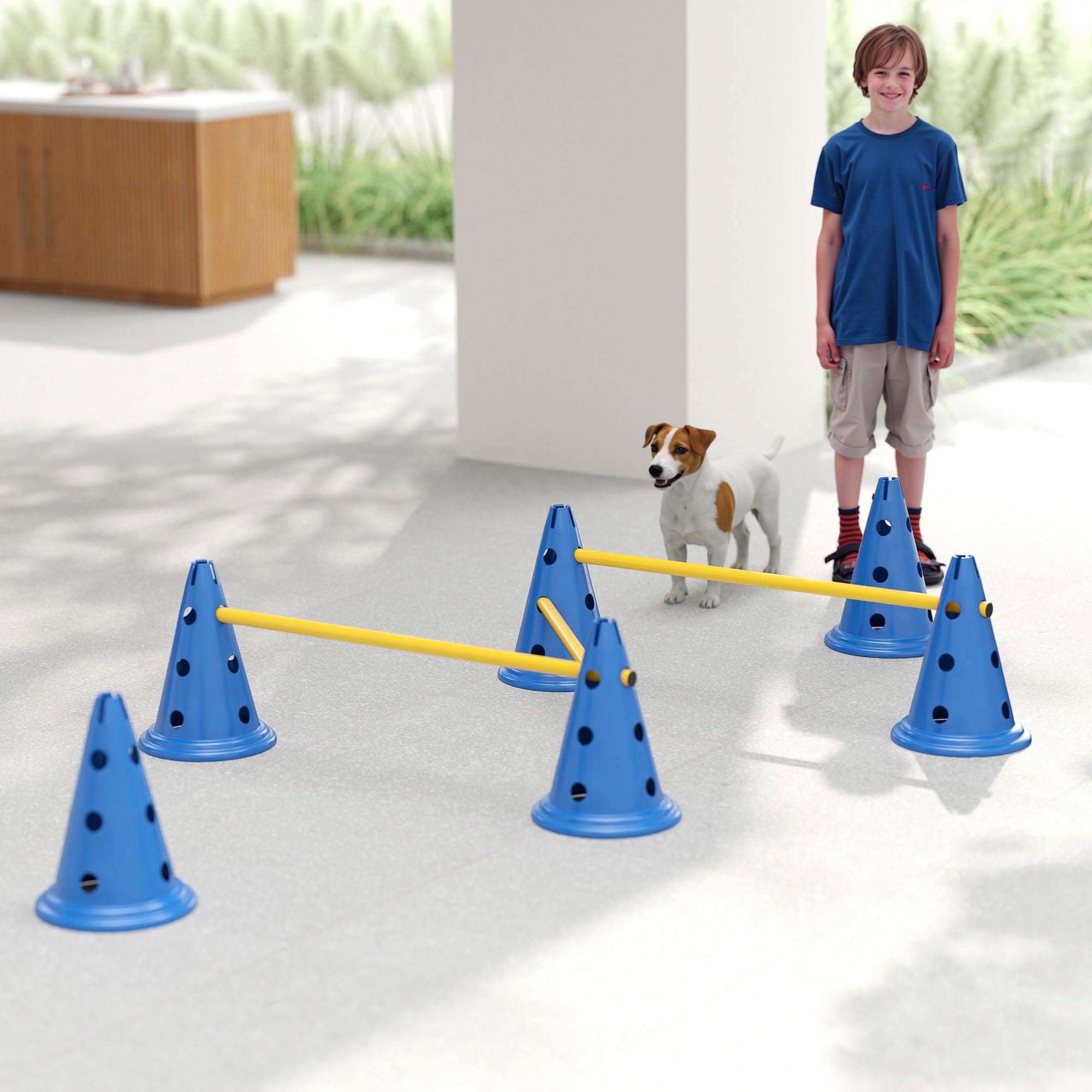 Dog Agility Equipment Set Of Six Cones, Six Poles With Carry Bag, Three-Piece Adjustable Height Jumping Obstacles, Blue photo 6