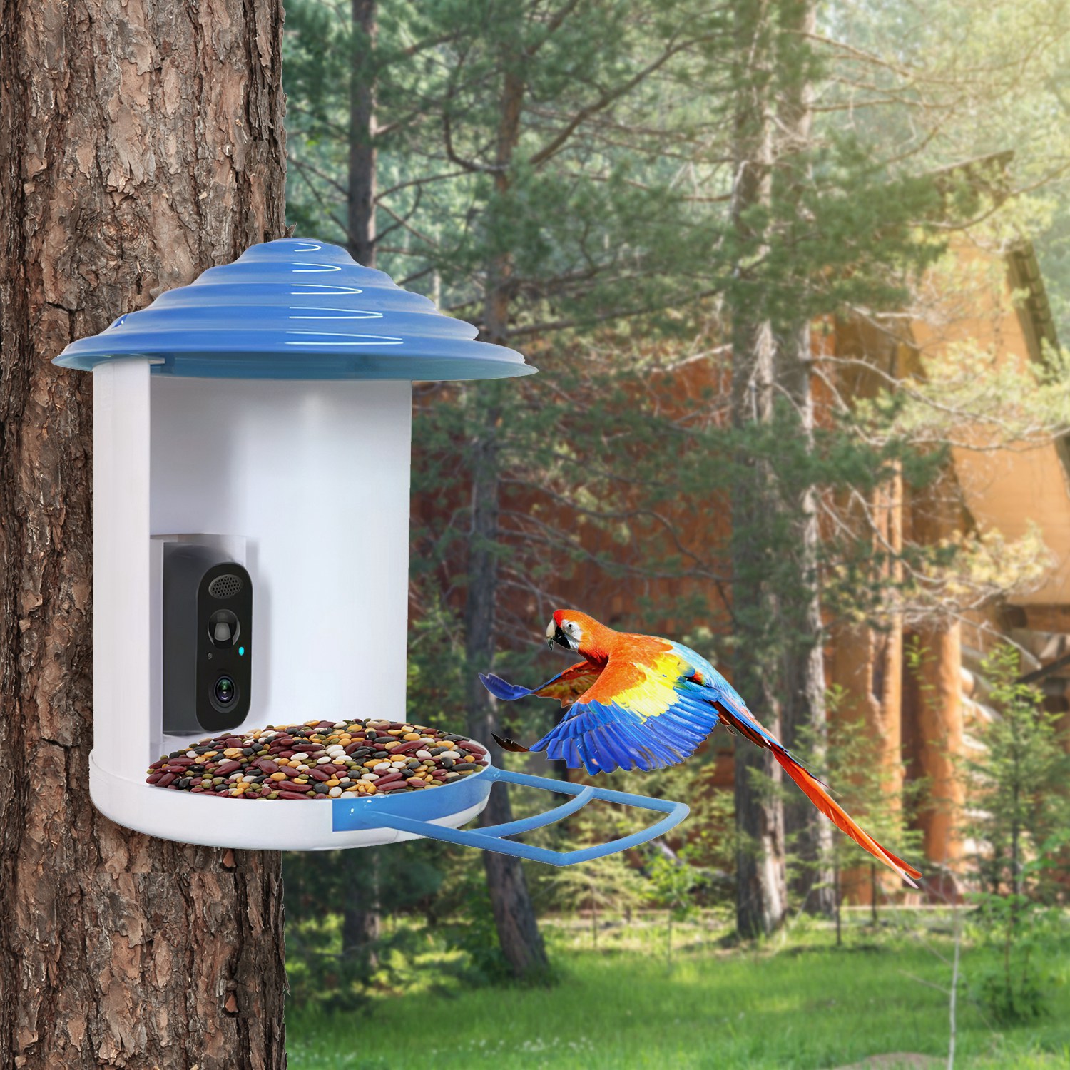 Smart Bird Feeder With Solar Powered Camera 1080P HD AI Identify PIR Motion Auto Capture Video Cloud Card Storage WiFi Connection App Control IP65 Waterproof photo 7