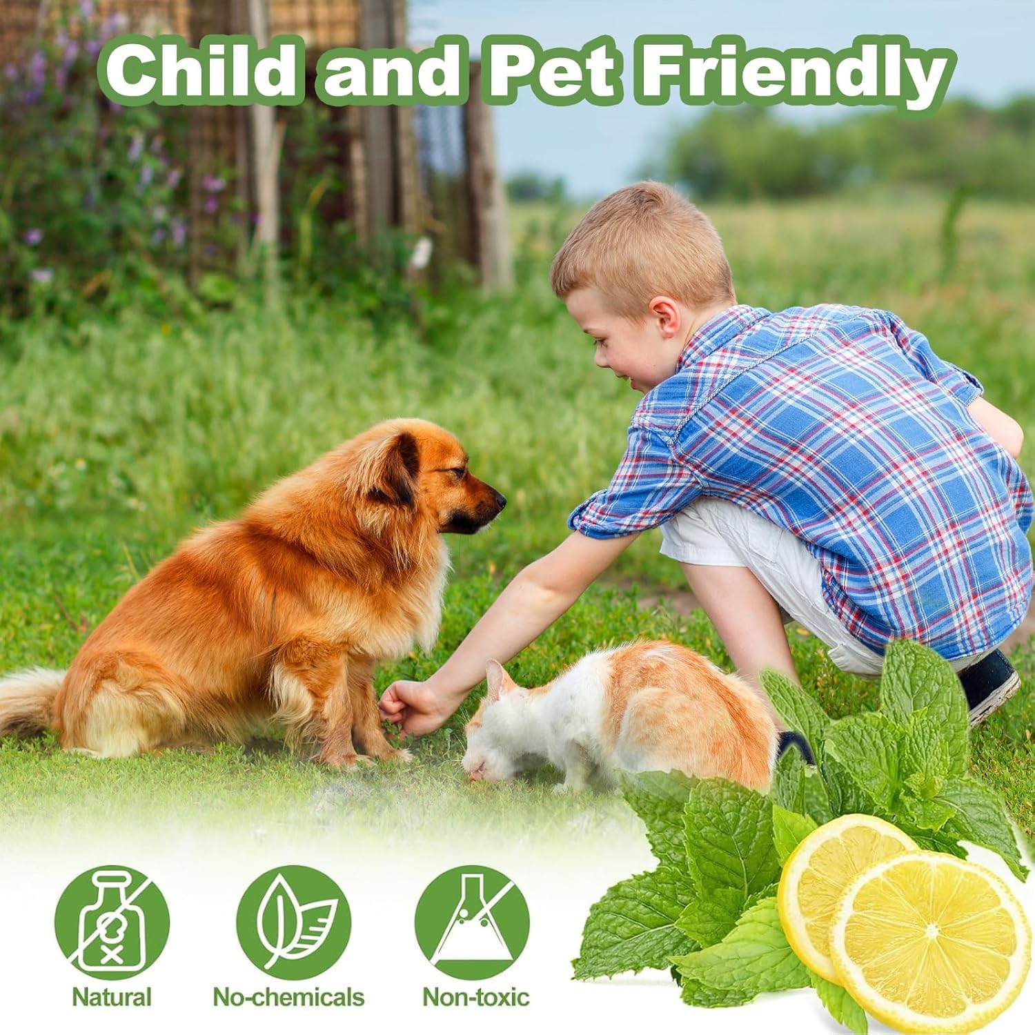 12 Pack Cat Repellent Outdoor, Natural Peppermint Oil Cat Deterrent Outdoor And Indoor, Keep Cats Out Of Yard Permanently, Protect Your Yard And Furniture photo 5