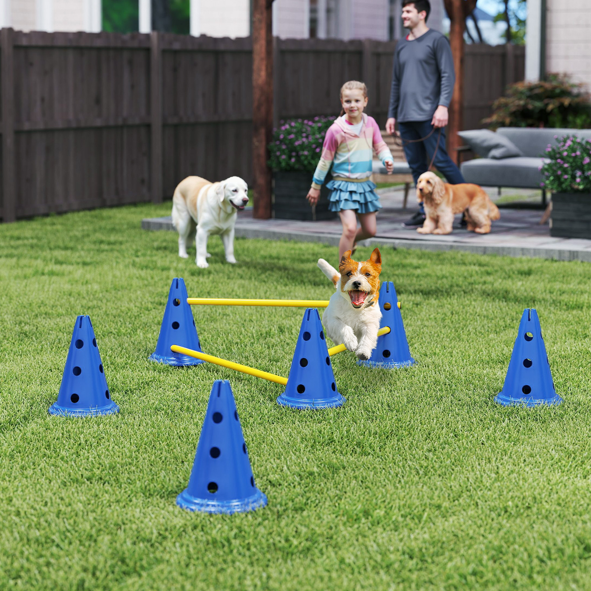Dog Agility Equipment Set Of Six Cones, Six Poles With Carry Bag, Three-Piece Adjustable Height Jumping Obstacles, Blue photo 1