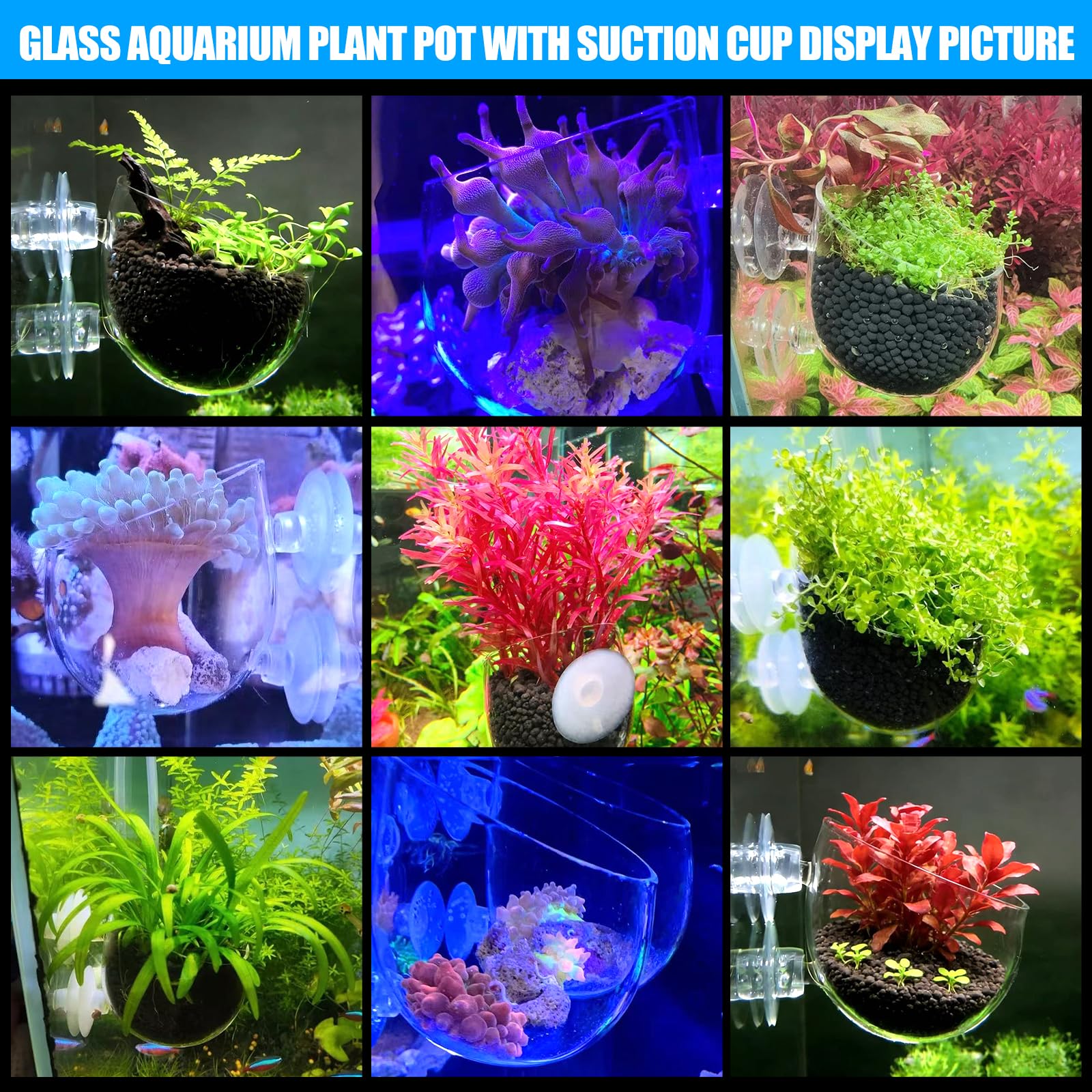 Glass Aquarium Plant Pot For Decoration, Aquatic Plant Pot Cup With Suction Cup, Betta Resting Bed Spot, Aquarium Planter Landscaping Decor Cup With Colorful And Clear Stones photo 4