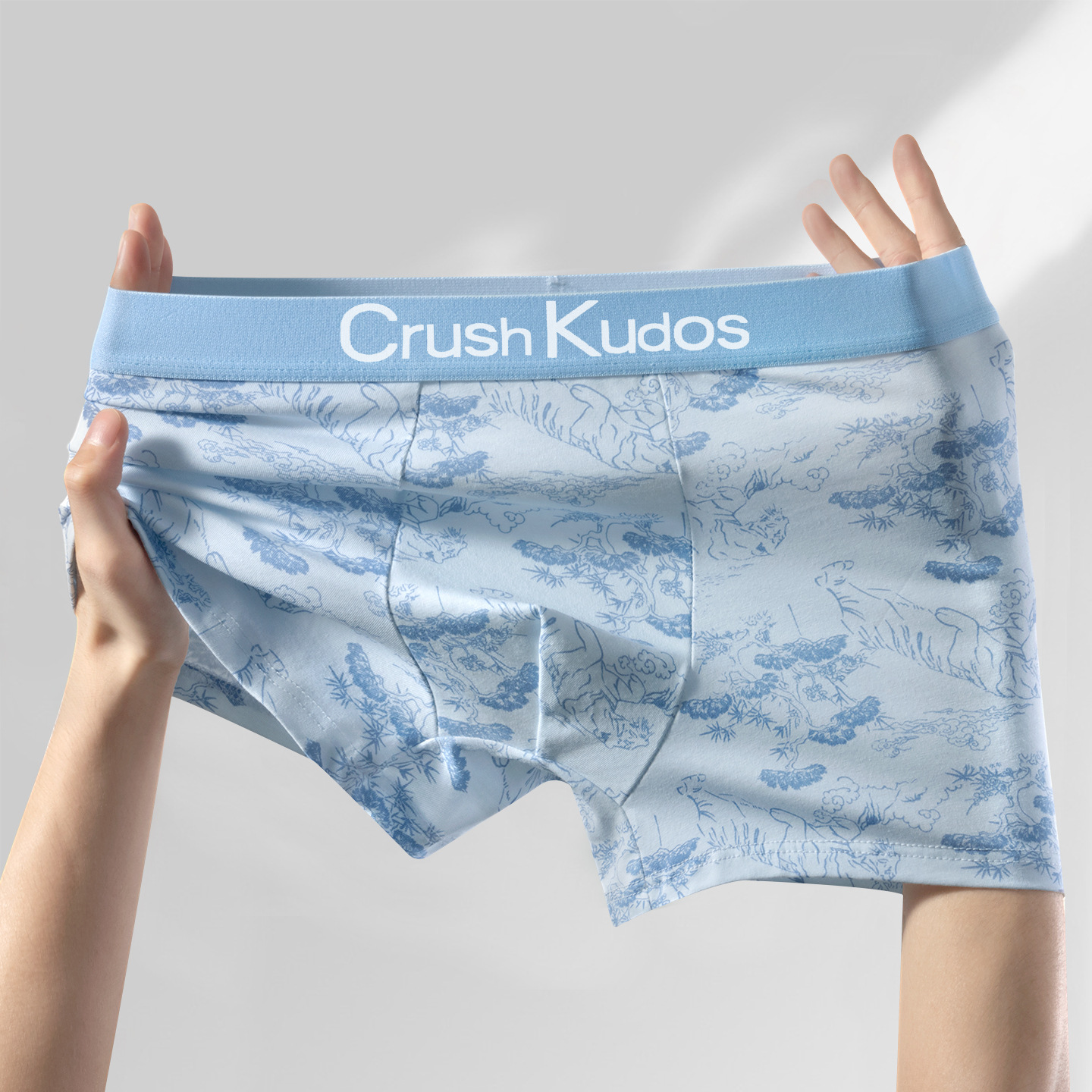Underwear photo 6