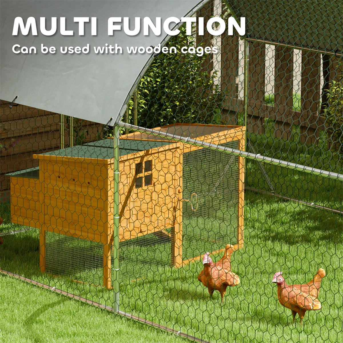 Metal Chicken, Chicken Coop photo 8