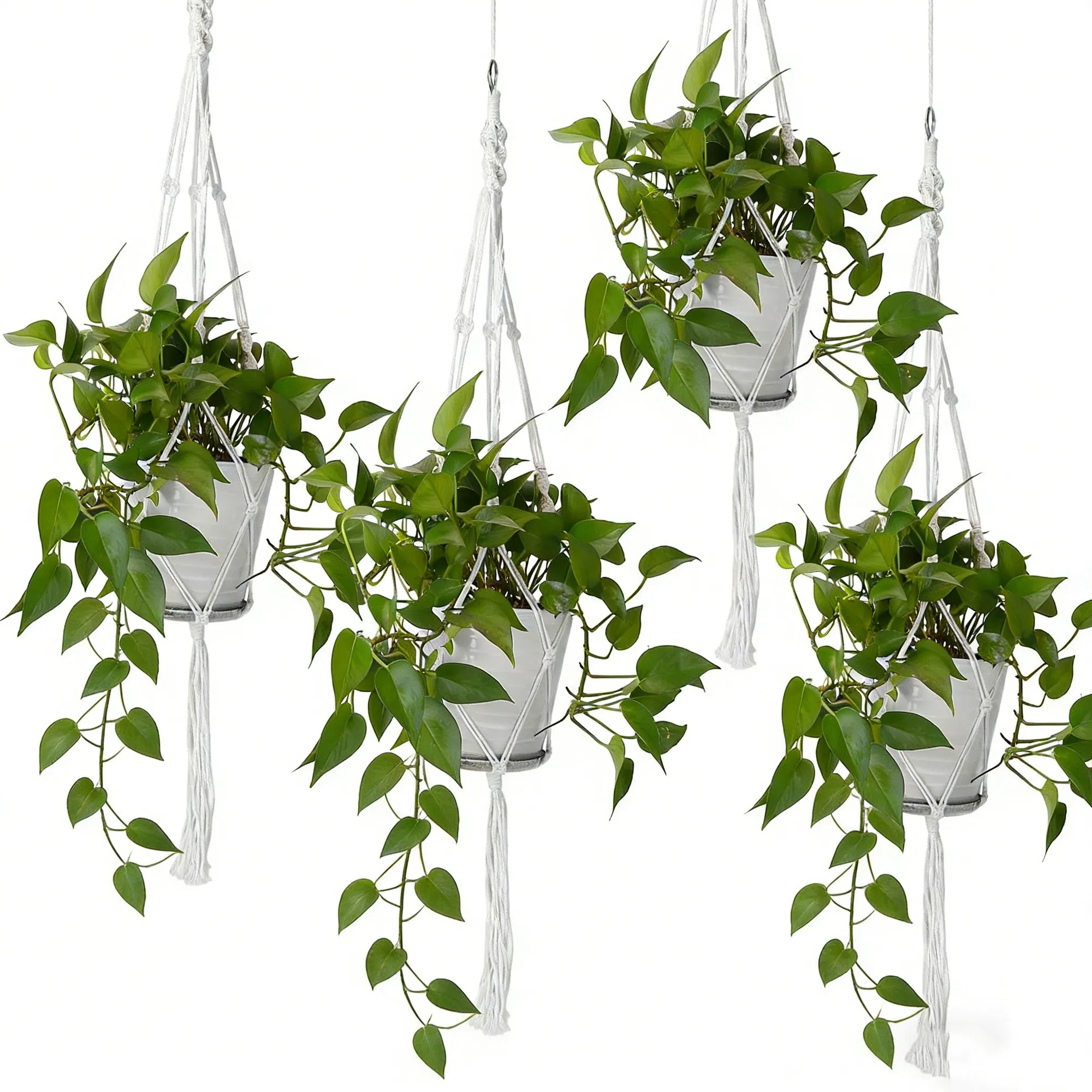 4 PCS Heavy Duty Hanging Plant Holder Natural Cotton Rope Planter Basket with Hanging Ring,Eco-Friendly Hanging Planter Basket Durable Cotton Rope Plant Hanger Space Saving for Indoor Outdoor Garden photo 3