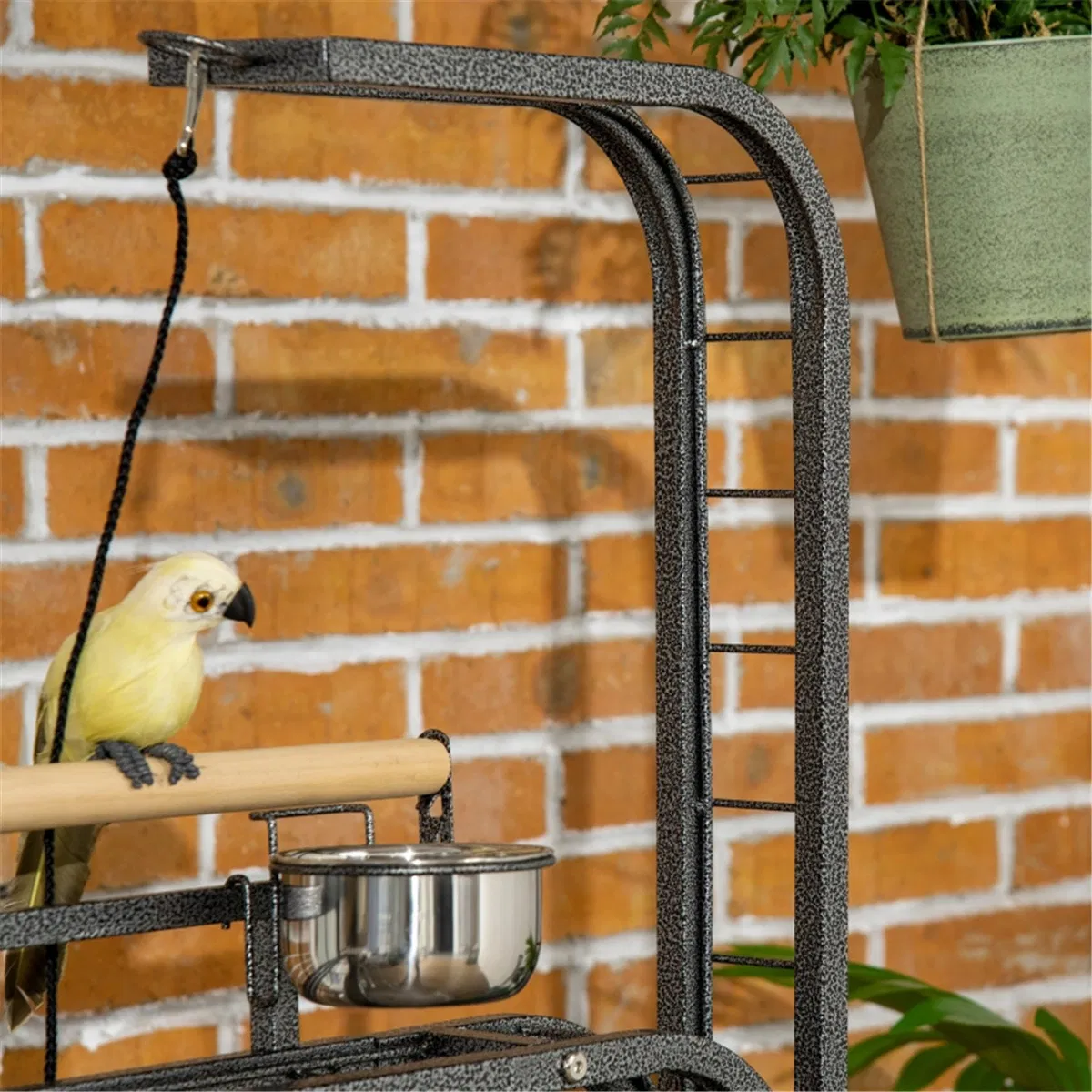 Parrot Stand /Parrot Perch ( Amazon Shipping)(Prohibited by WalMart) photo 4
