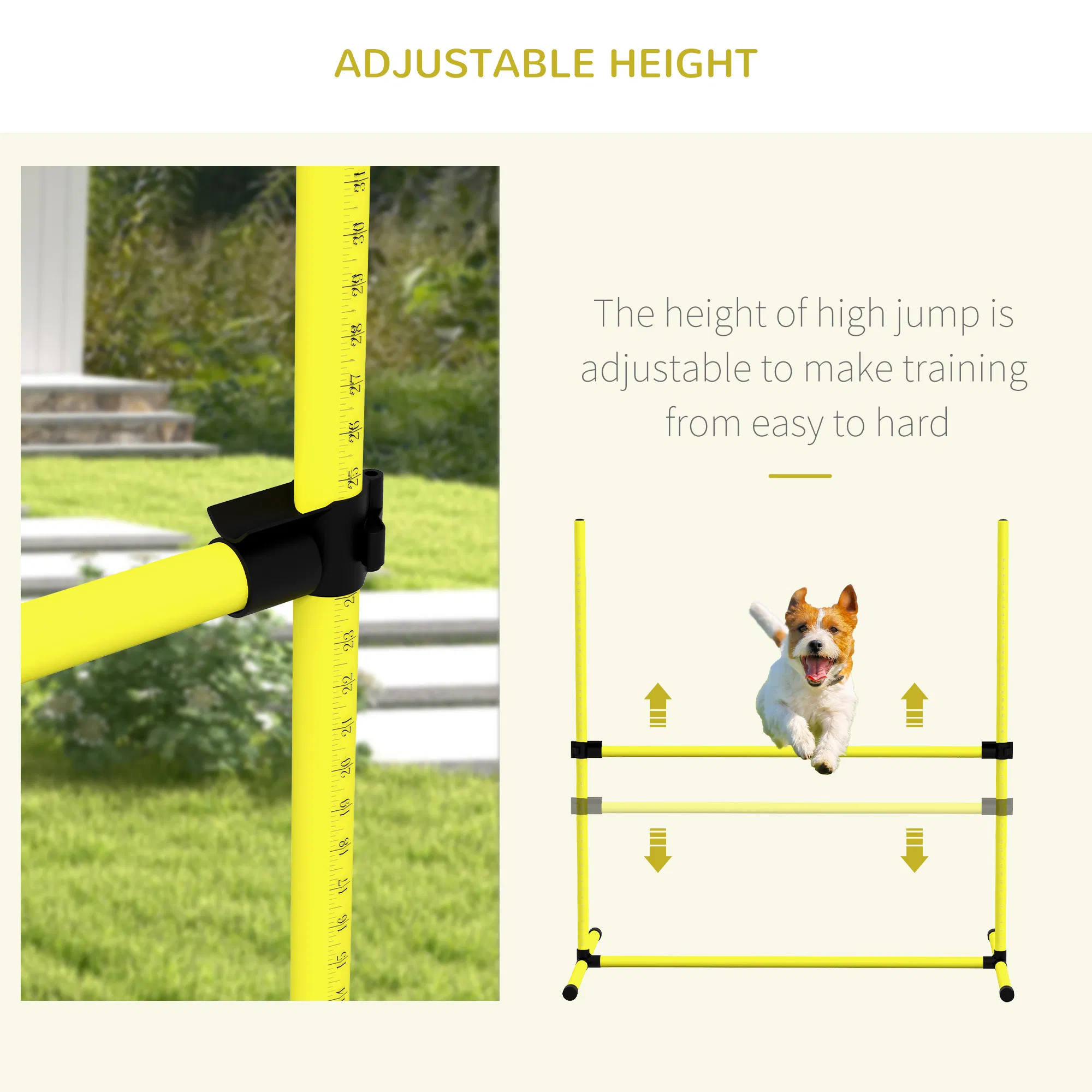 Dog agility training equipment photo 7