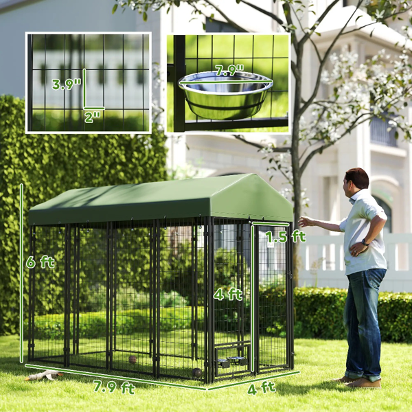 Dog House photo 6