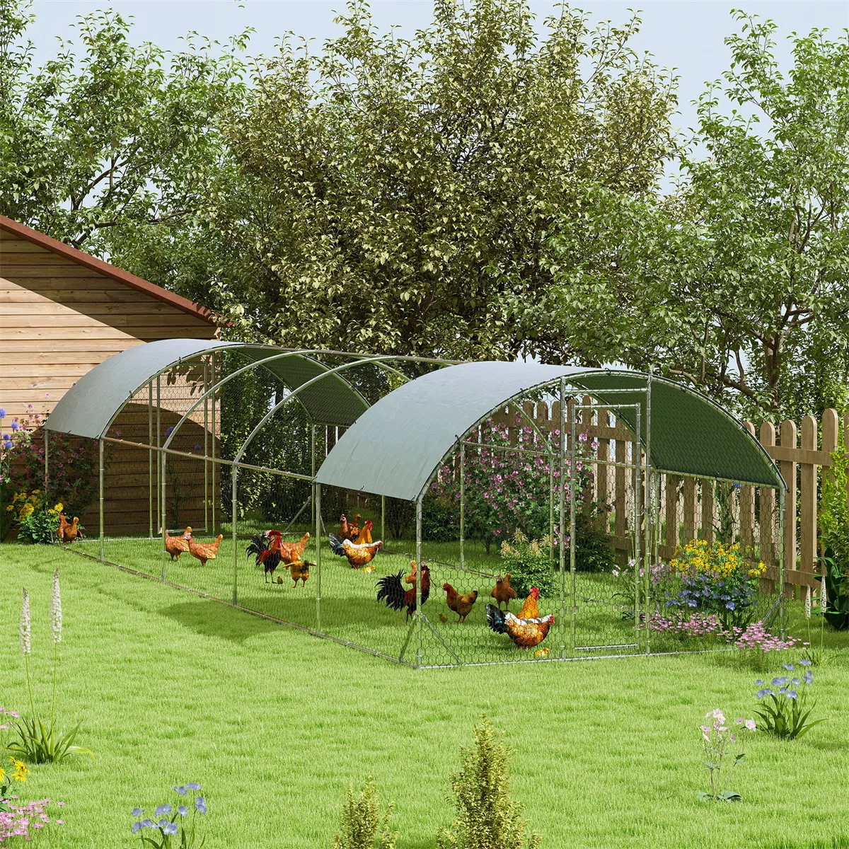 Metal Chicken, Chicken Coop photo 4
