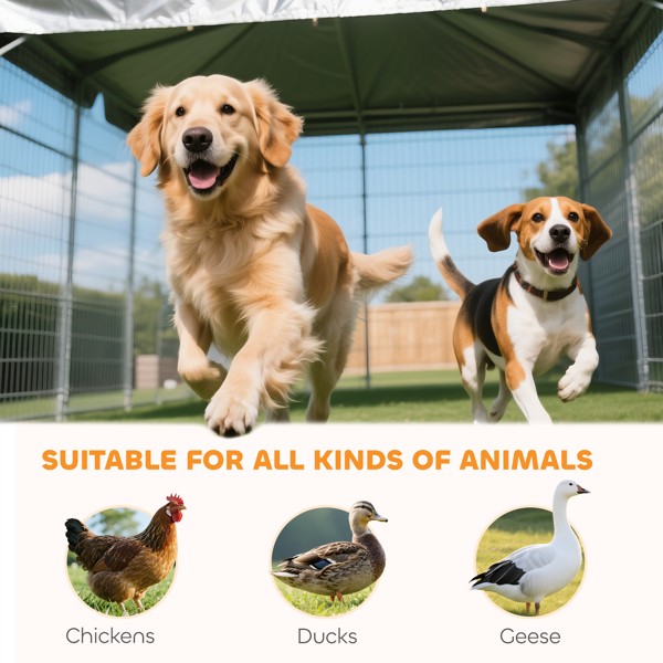 Dog Kennel photo 5