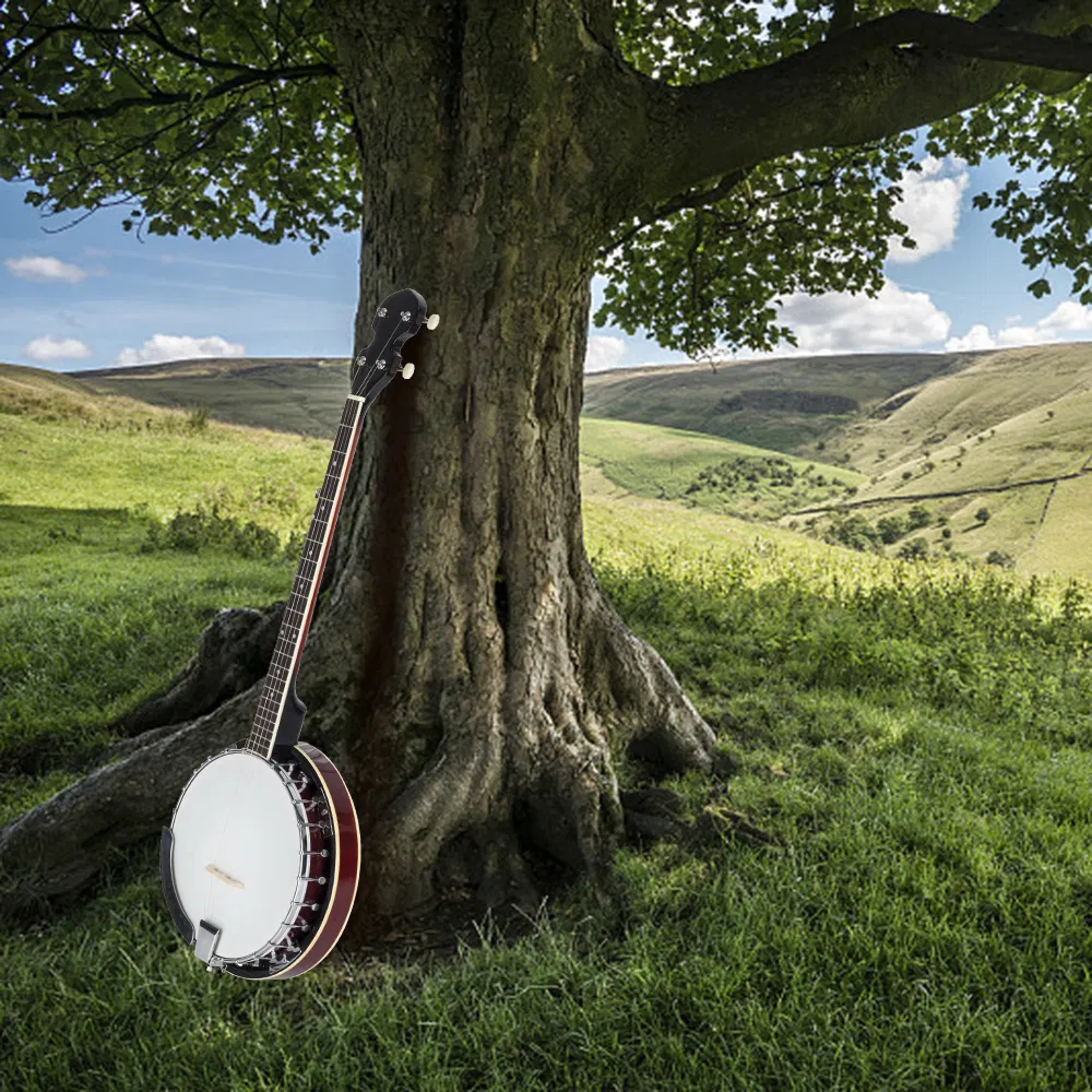 Top Grade Exquisite Professional Wood Metal 5-string Banjo White & Wood Color photo 7