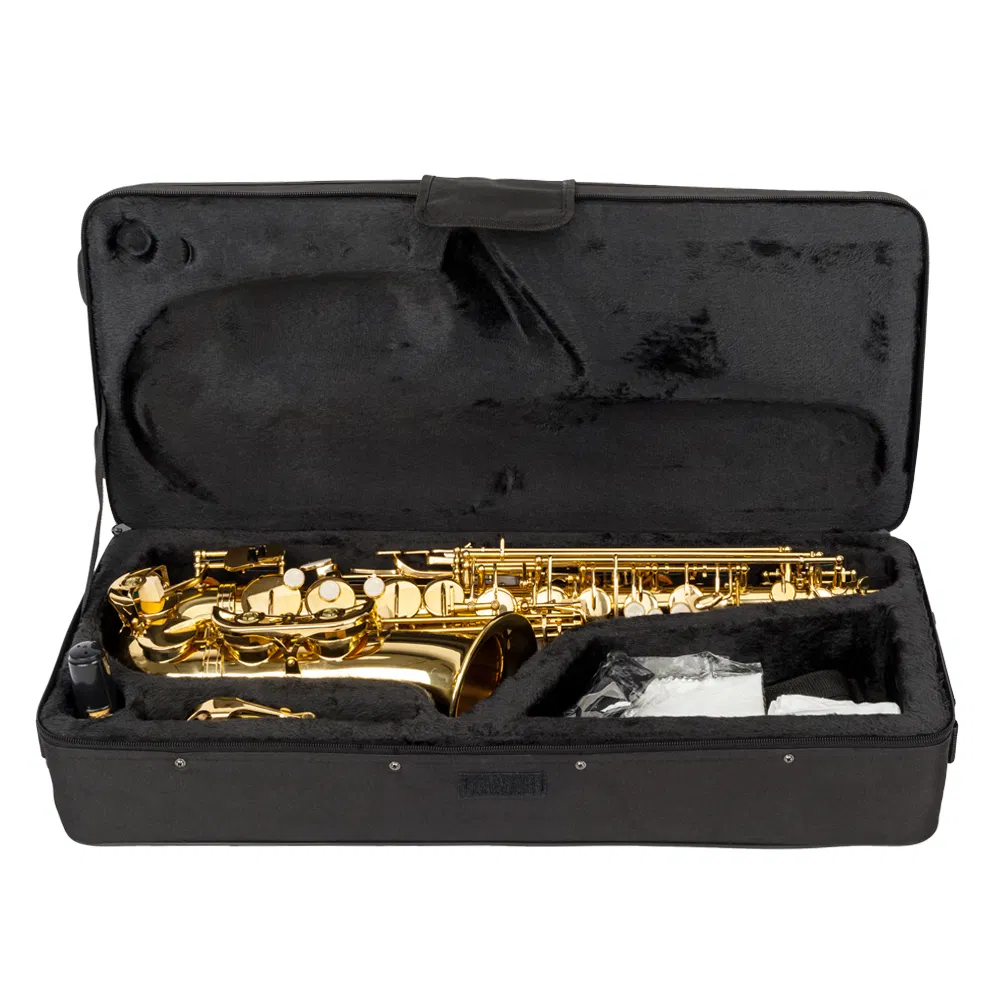 Alto Drop E Paint Gold Saxophone Paint Gold photo 5