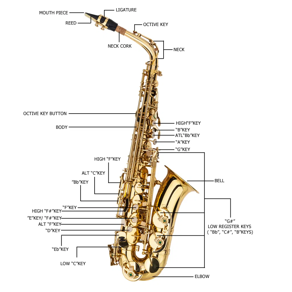 Alto Drop E Paint Gold Saxophone Paint Gold photo 8