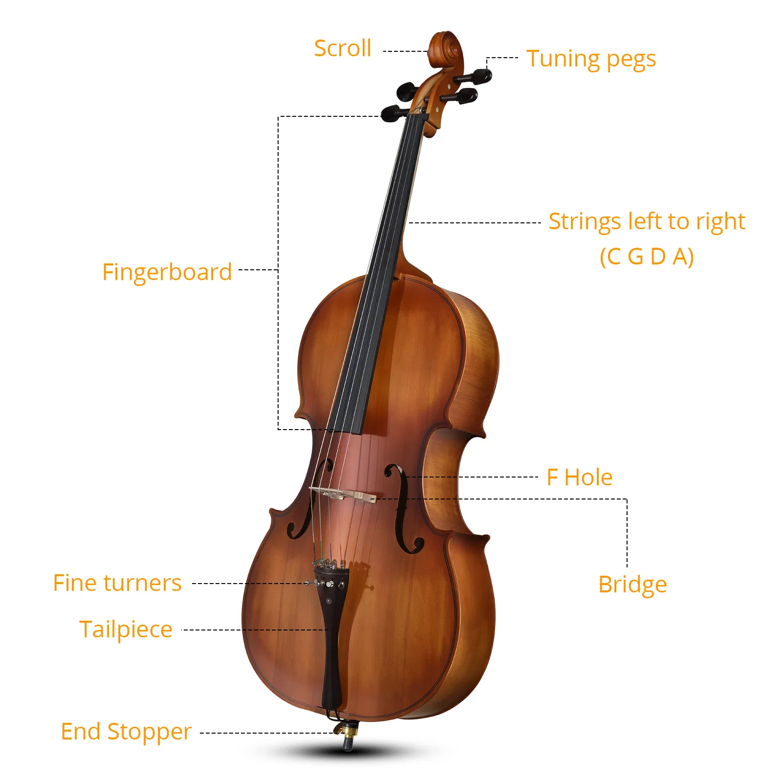 Full Side 4/4 Matte Natural Color Spruce Panel Cello with Bag Bow Rosin Bridge Strings photo 4