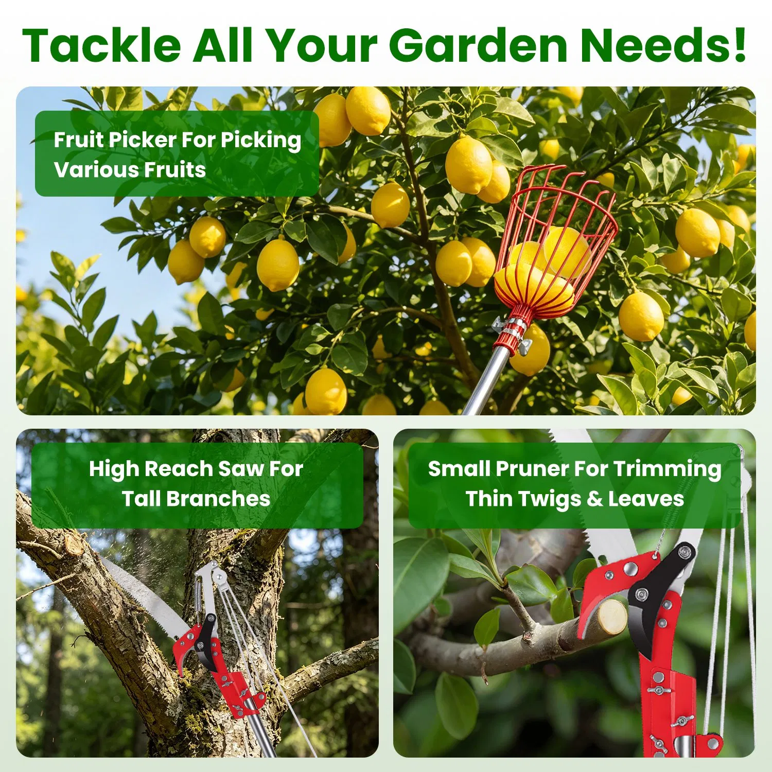2-in-1 Pole Saw & Fruit Picker with Extendable Stainless Steel Pole photo 2