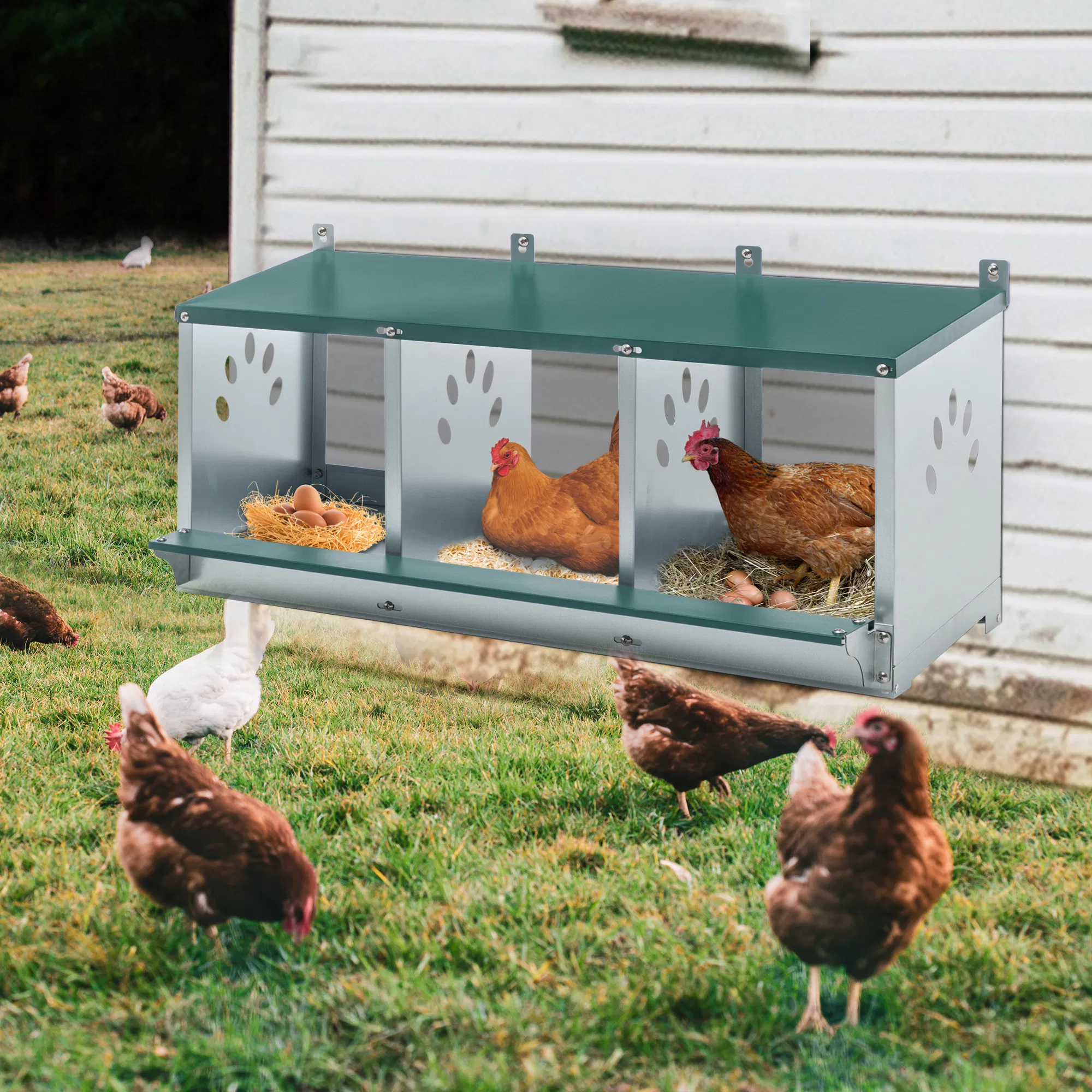 3 Room Metal Chicken Nesting Boxes 3 Compartment Egg Coop photo 3