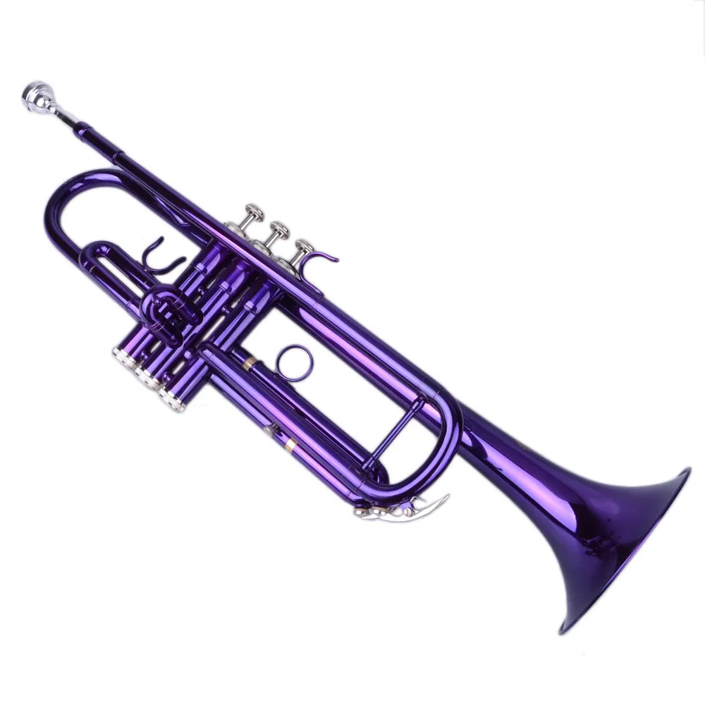 Brass B Flat Trumpet Violet photo 2