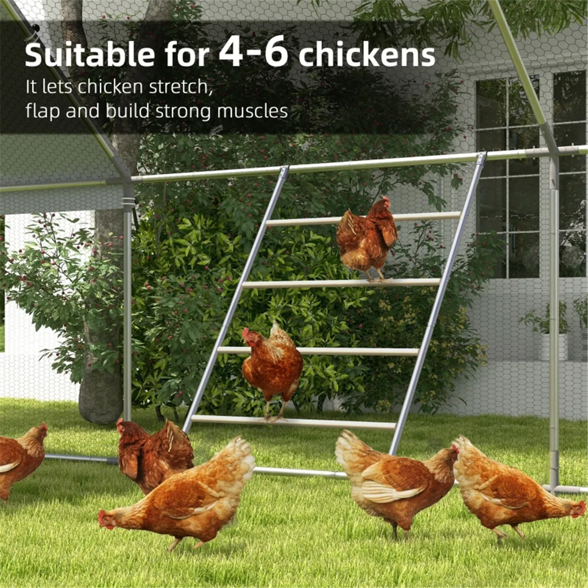 Chicken Wood Toys Chicken Roost photo 8