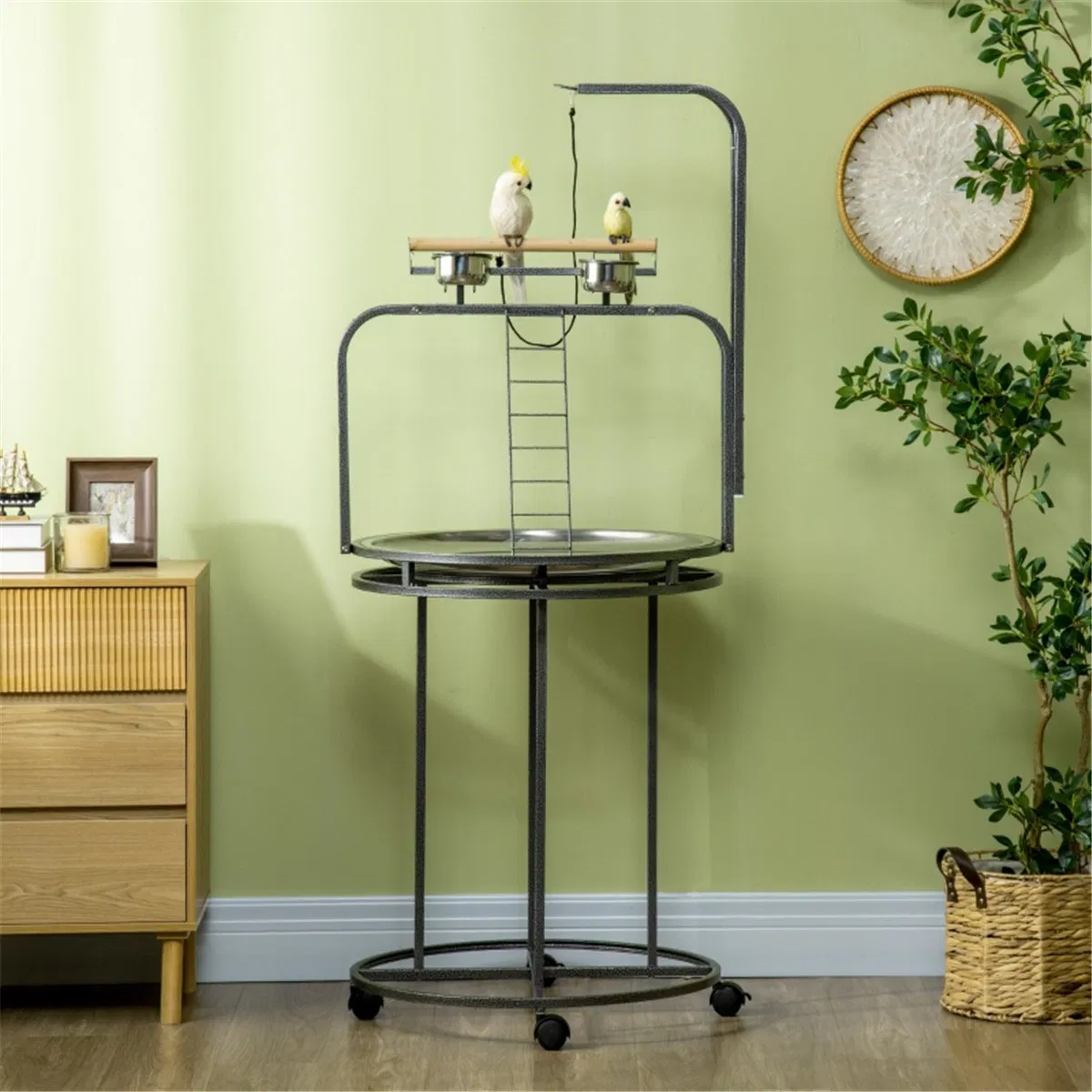 Parrot Stand /Parrot Perch ( Amazon Shipping)(Prohibited by WalMart) photo 3
