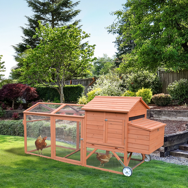 Chicken Coop photo 7