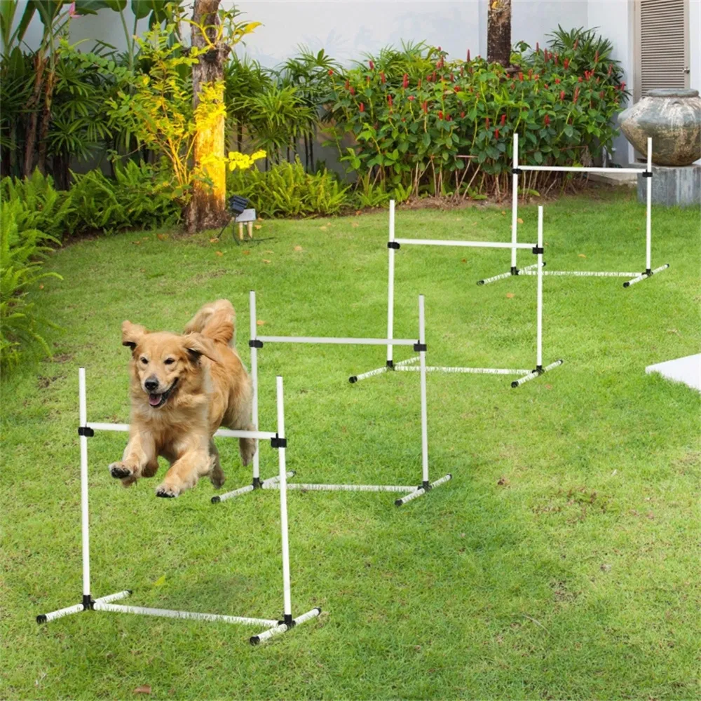Dog agility training equipment photo 4