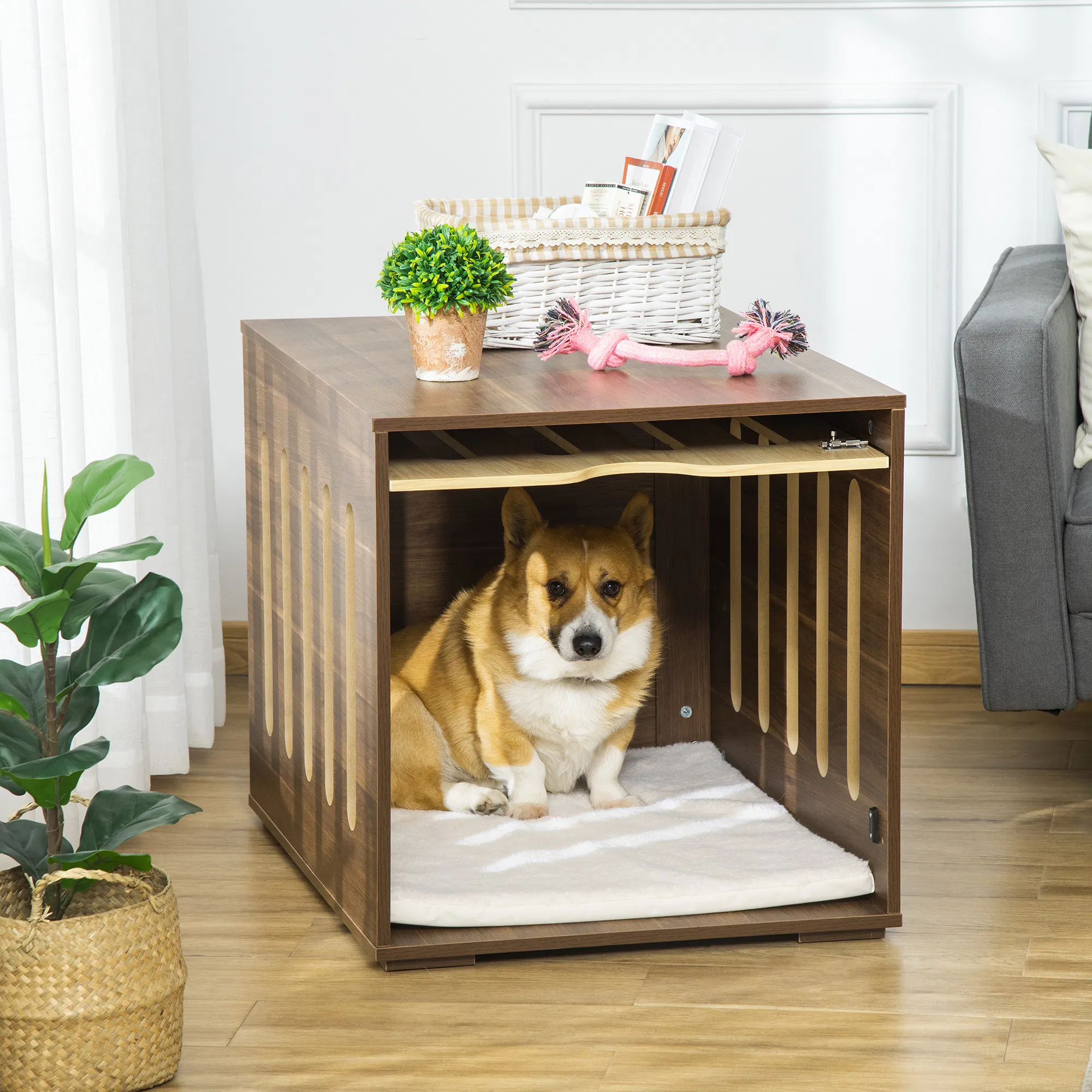 Dog Kennel(No shipments on weekends) photo 1