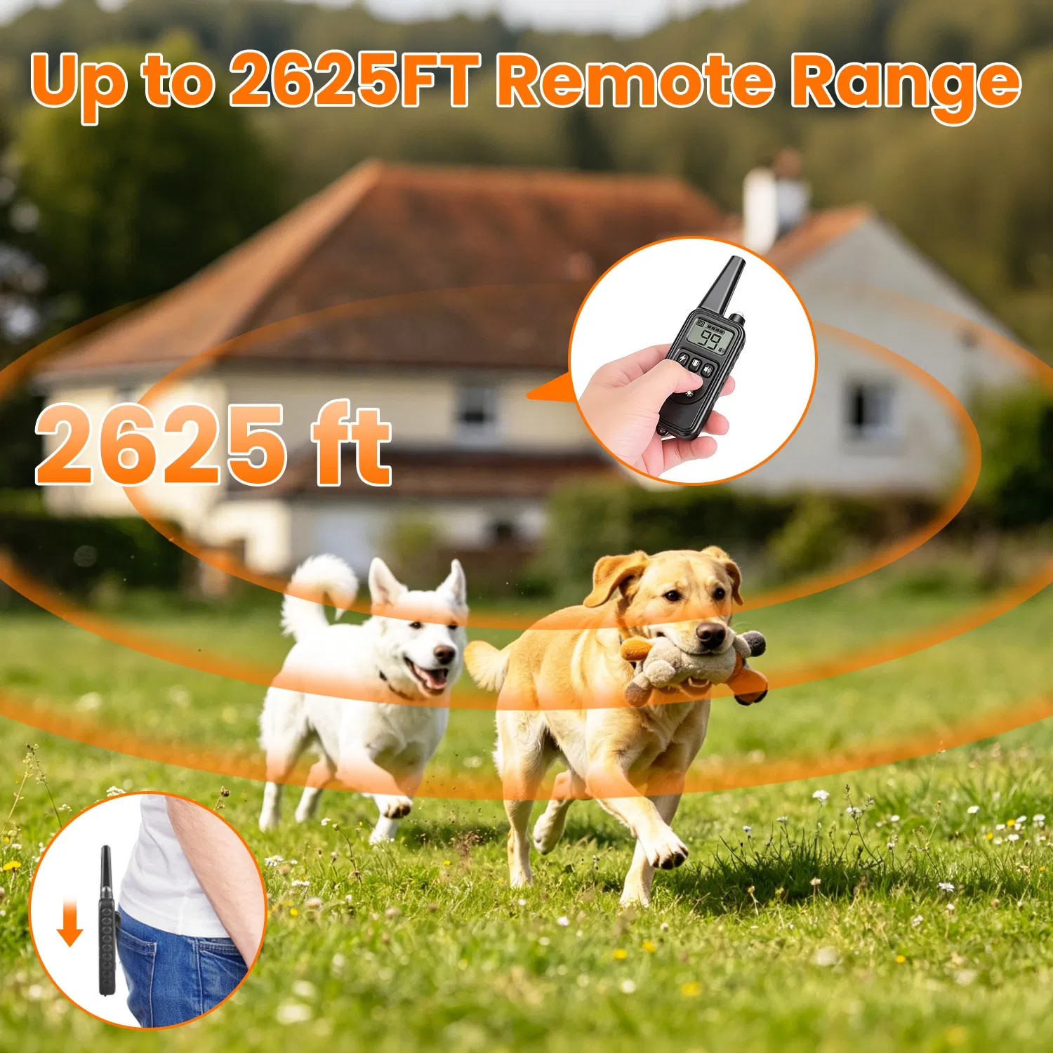 Dog Training Collar with Remote Rechargeable Dog Training Collar IP68 Waterproof with 4 Training Modes 3 Channels for Medium and Small Dogs photo 5