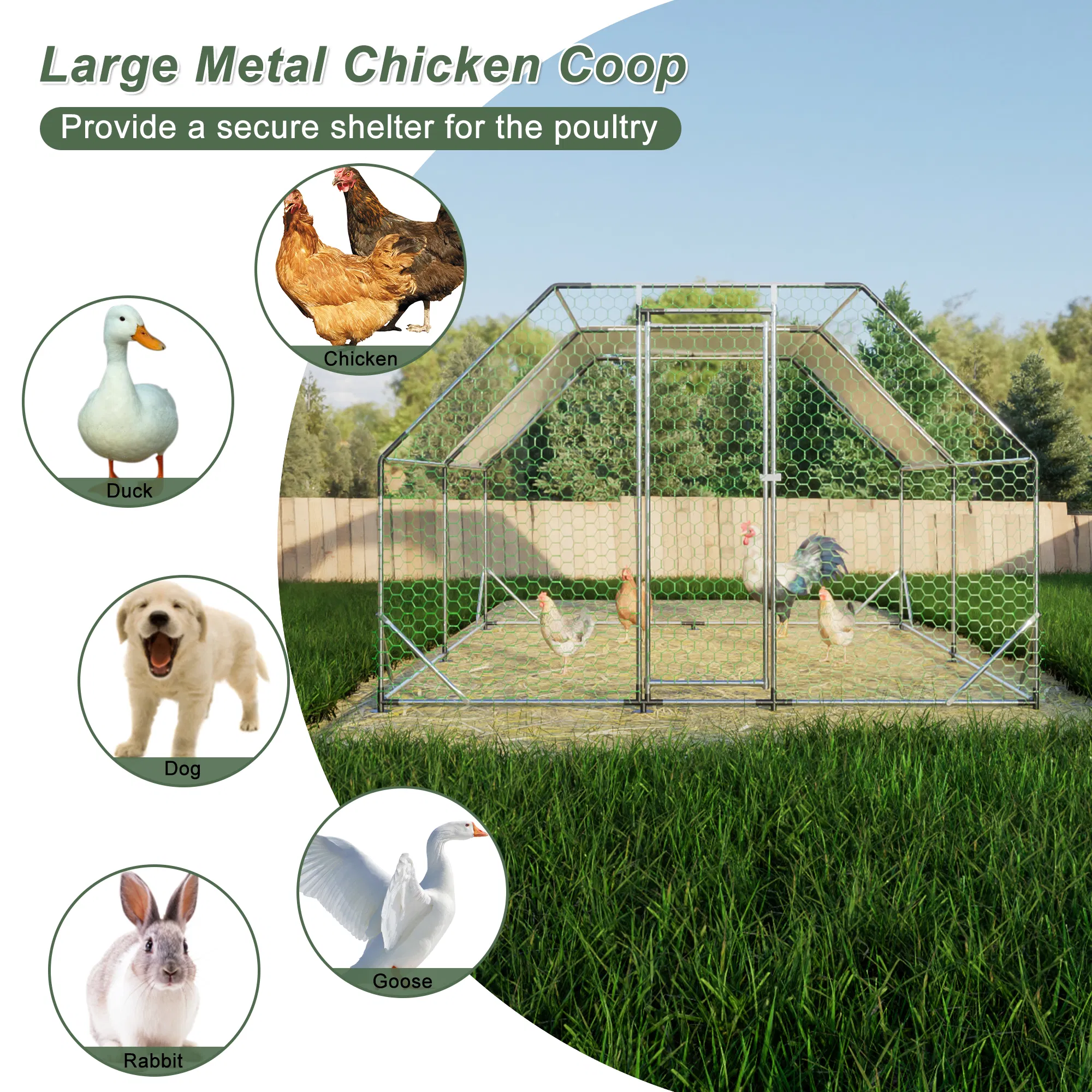 10 ft. x 13 ft. Galvanized Large Metal Walk in Chicken Coop Cage Farm Poultry Run Hutch Hen House photo 4