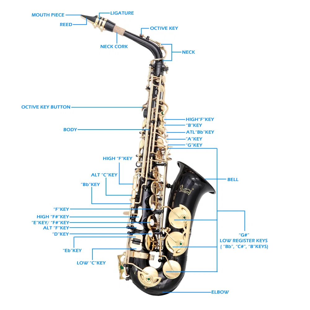 [Do Not Sell on Amazon] Alto Saxophone E-Flat Alto SAX Eb with 11reeds, case,carekit, Black Color for Students and Beginners photo 4