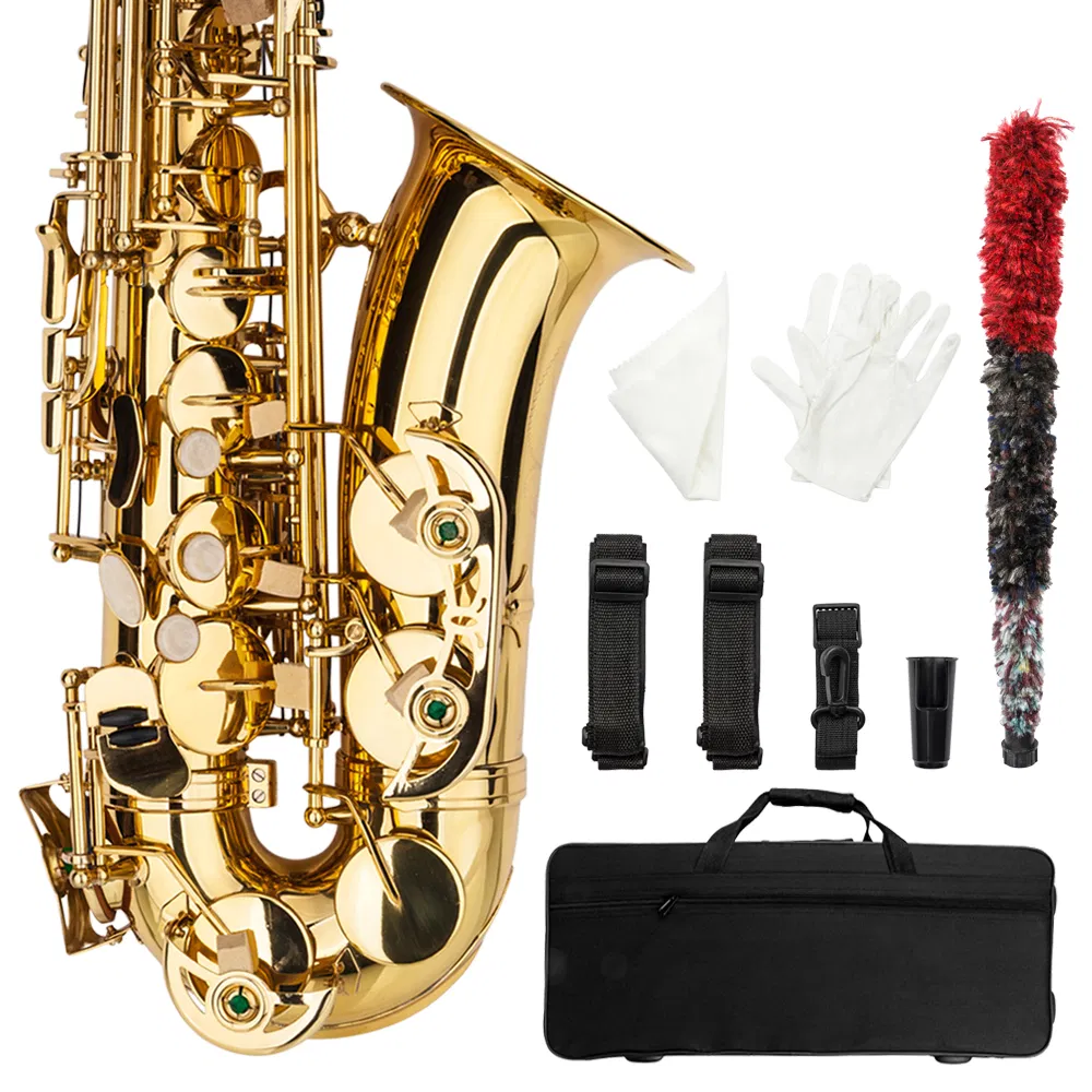 Alto Drop E Paint Gold Saxophone Paint Gold photo 4