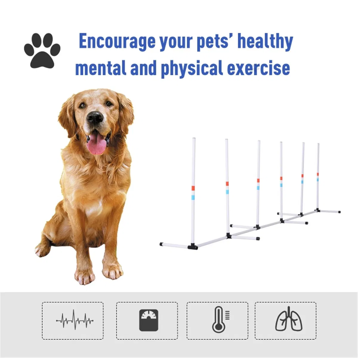 Dog Outdoor Exercise Training Set ( Amazon Shipping)(Prohibited by WalMart) photo 7