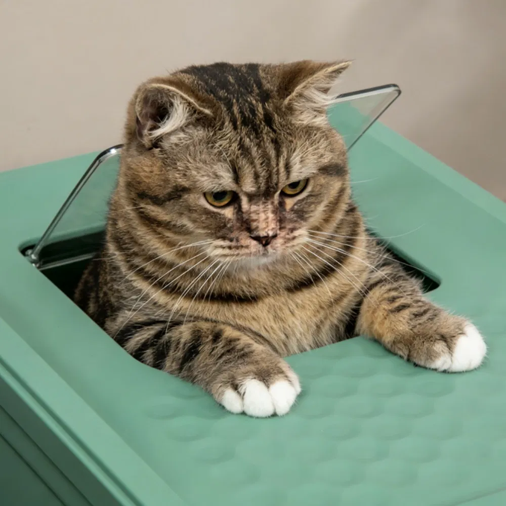 Stainless Steel Enclosed Litter Box for Cats photo 5