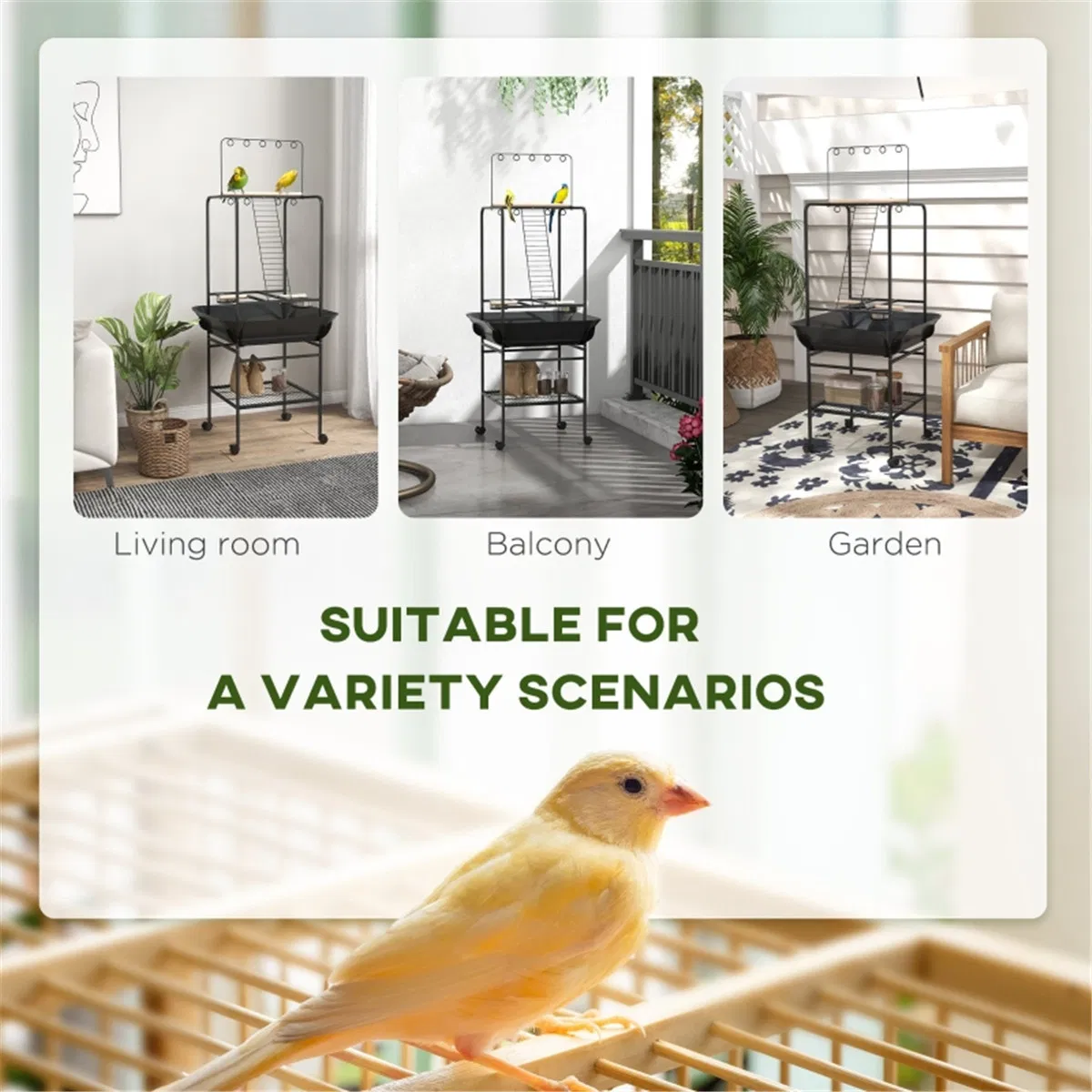 Bird Stand /Parrot Perch ( Amazon Shipping)(Prohibited by WalMart) photo 3
