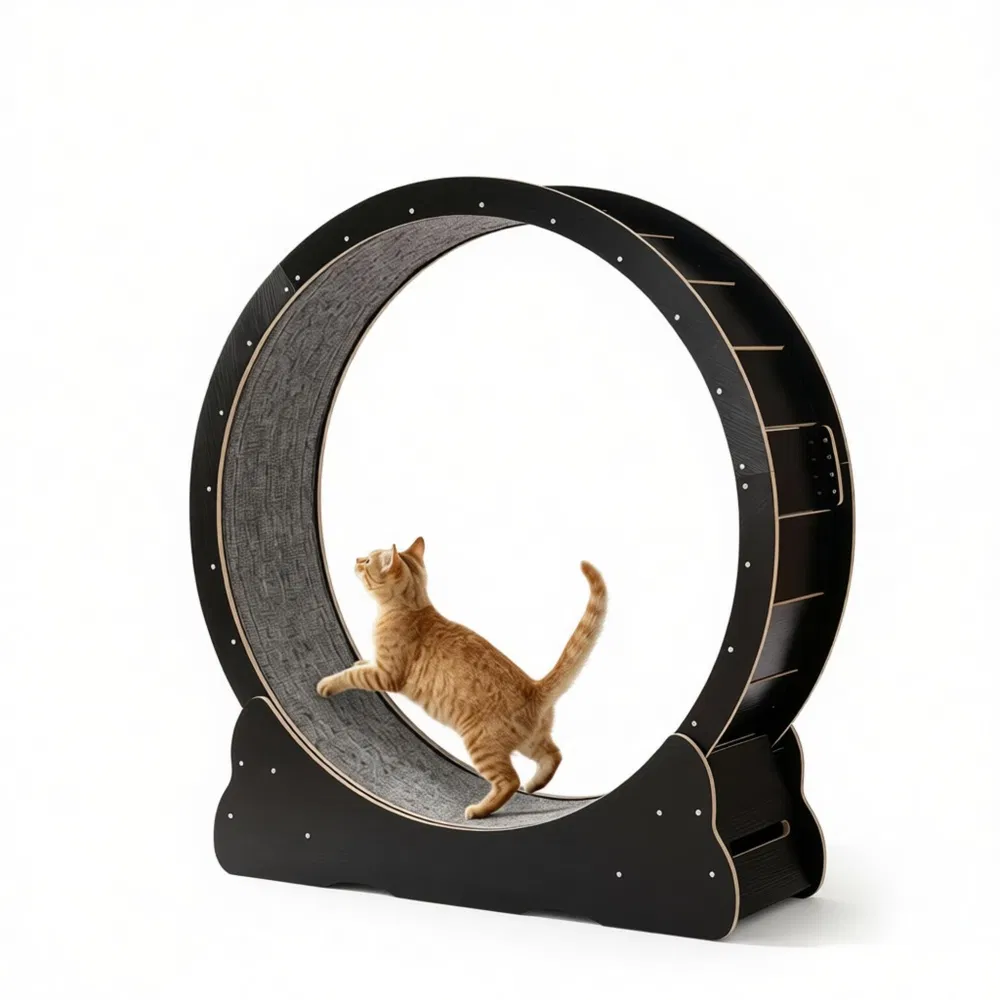 Wooden Cat Exercise Wheel photo 2