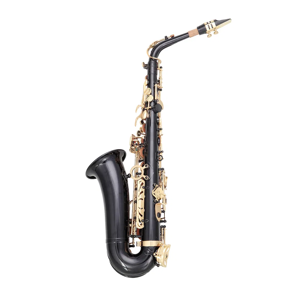 [Do Not Sell on Amazon] Alto Saxophone E-Flat Alto SAX Eb with 11reeds, case,carekit, Black Color for Students and Beginners photo 2