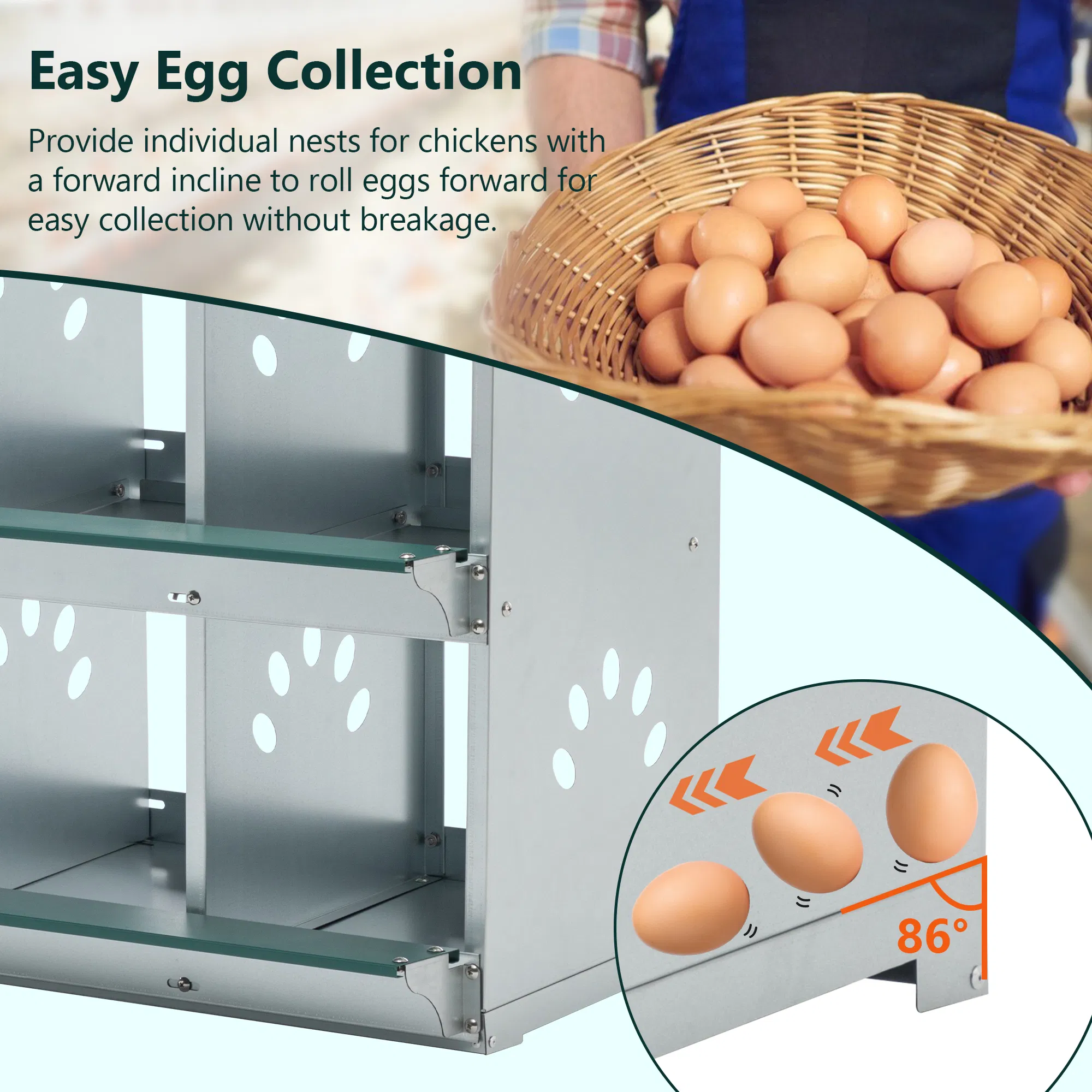 8 Room Metal Chicken Nesting Boxes 8 Compartment Egg Coop photo 4