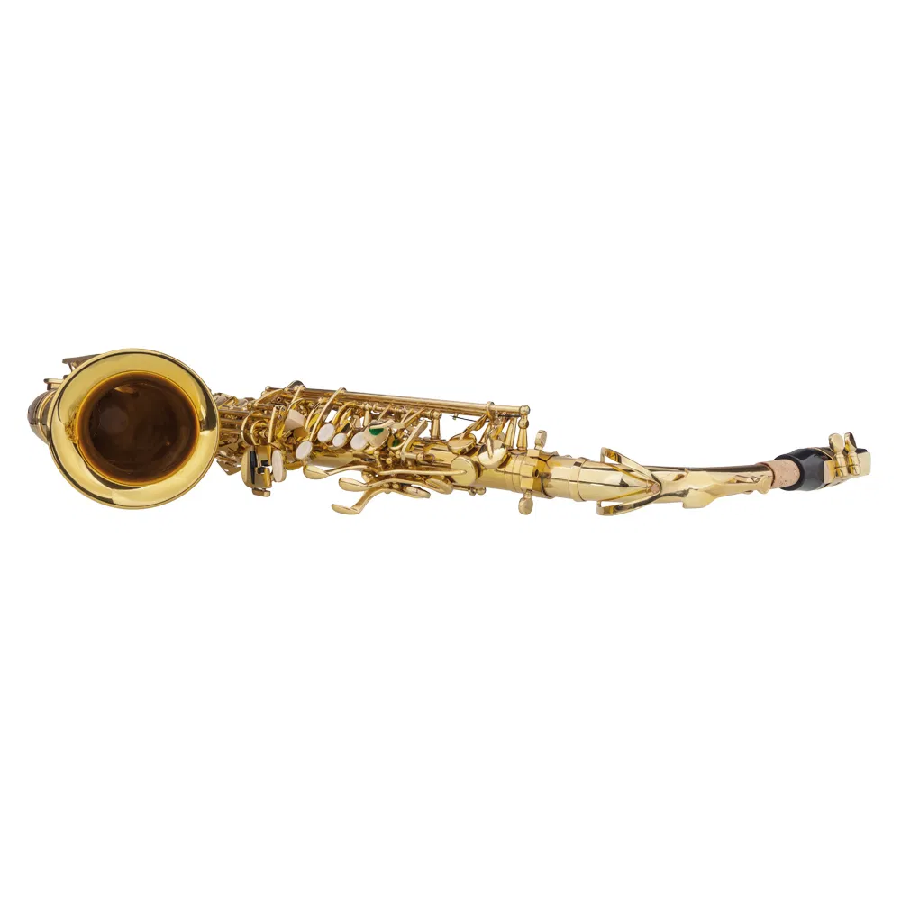 Alto Drop E Paint Gold Saxophone Paint Gold photo 6