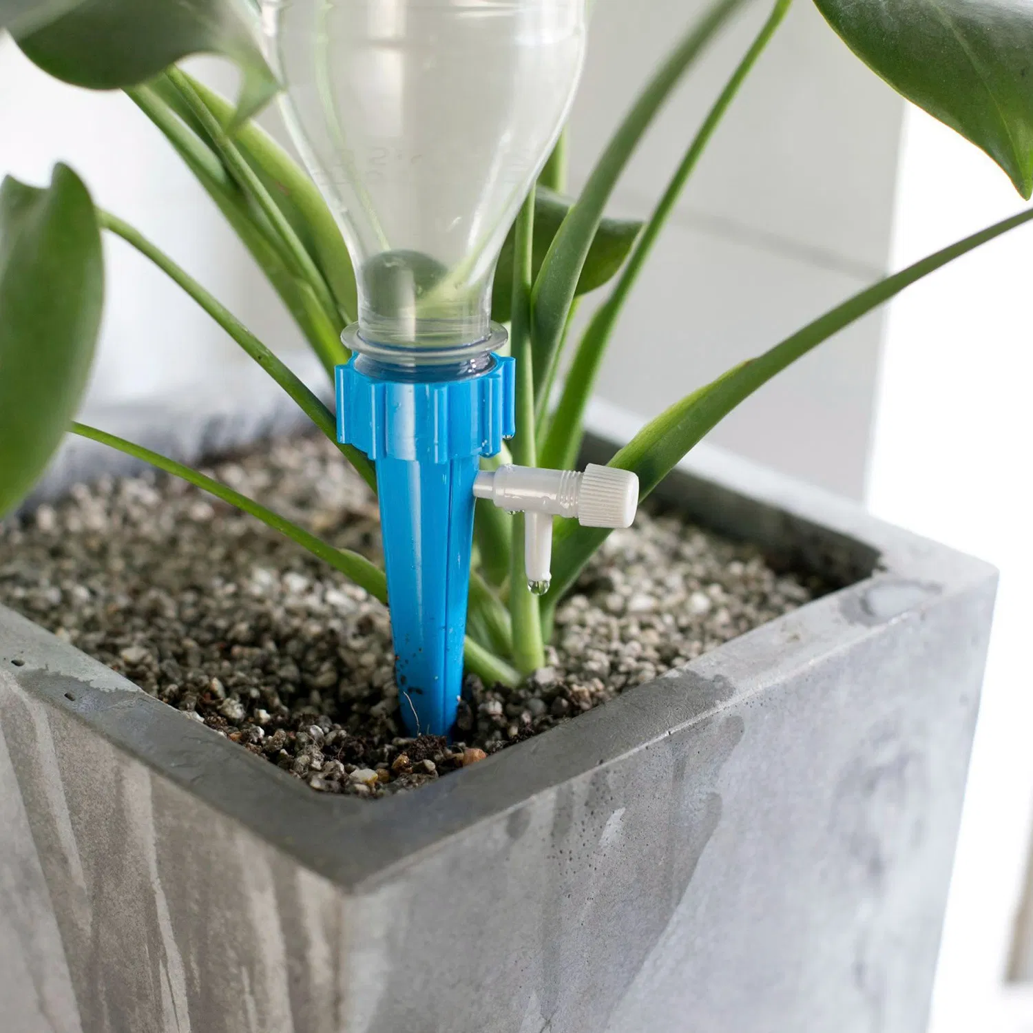 24Pcs Plant Watering Spikes Self Watering Devices Automatic Plant Waterer with Slow Release Control Valve For Outdoor Indoor Plant photo 6