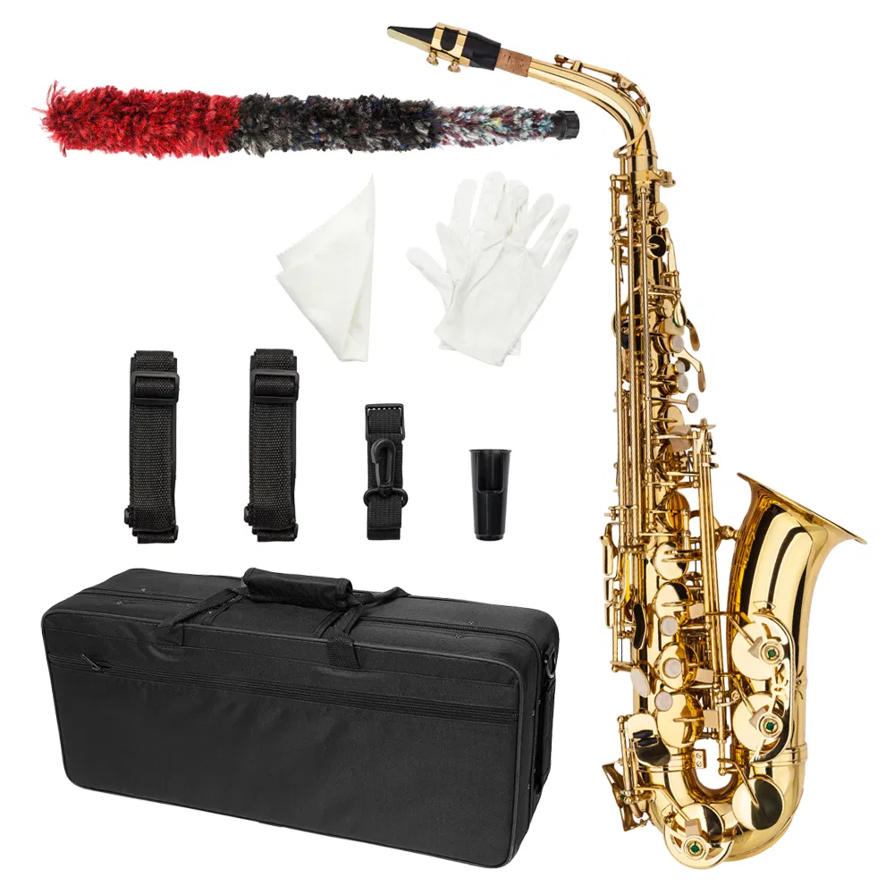 Alto Drop E Paint Gold Saxophone Paint Gold photo 1