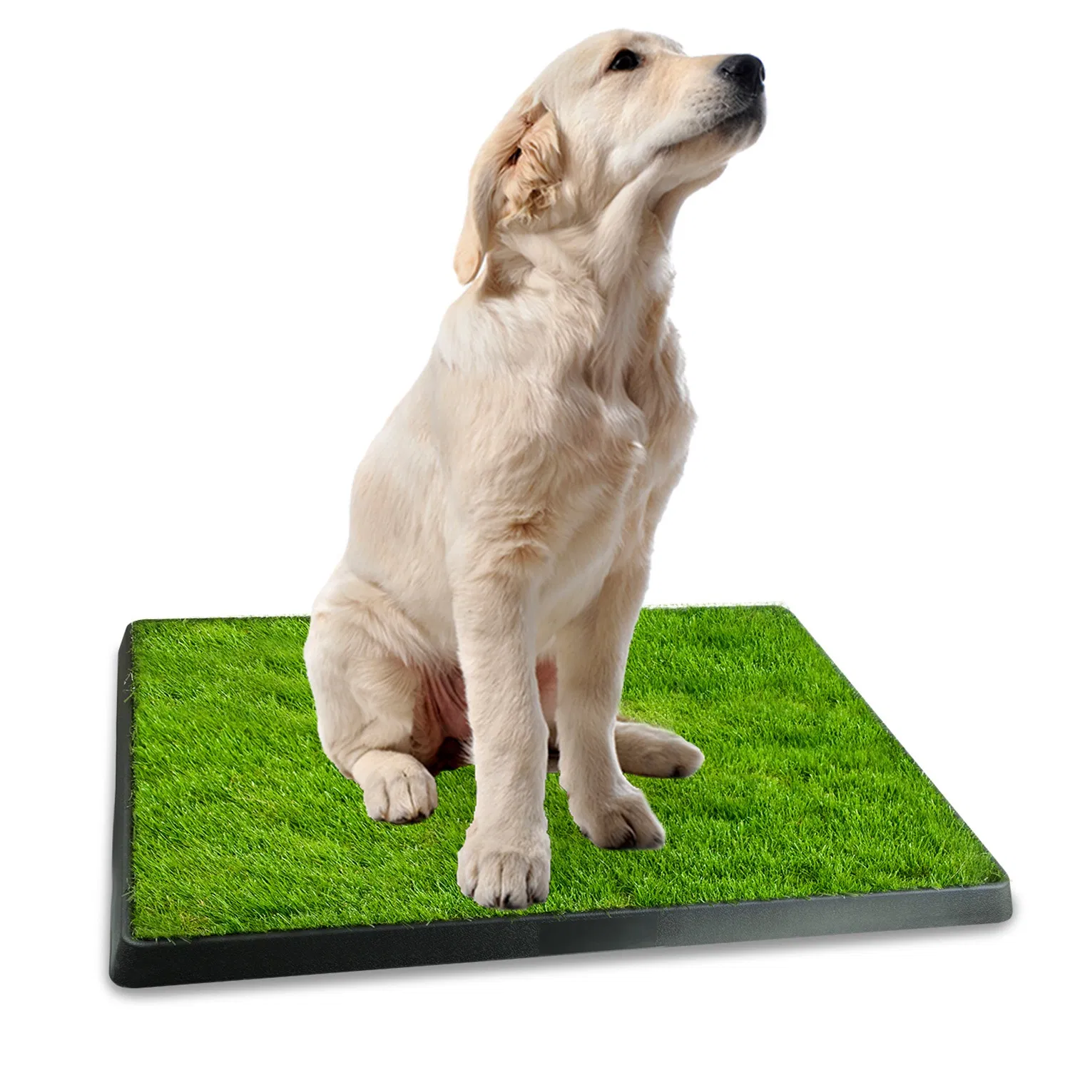 25"×20" Dog Toilet Indoor Puppy Training Pad, Dog Potty Pet Training Grass Mat, Removable Waste Tray for Easier Clean Up, Artificial Turf photo 3