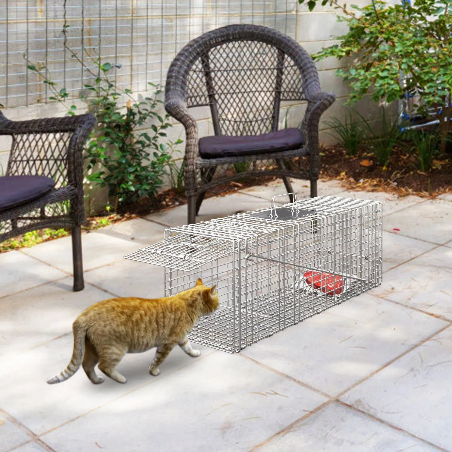 Humane Animal Trap Cage (30.51x11.02x11.81in) - Galvanized Sturdy Wire Mesh, Sensitive Trigger & Dual Doors, Handle Guard Plate, Collapsible for Raccoons, Opossums, Skunks Under 16.5lbs Indoor/Outdoor photo 3