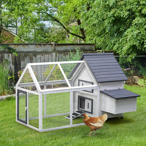 Chicken Coop photo 1