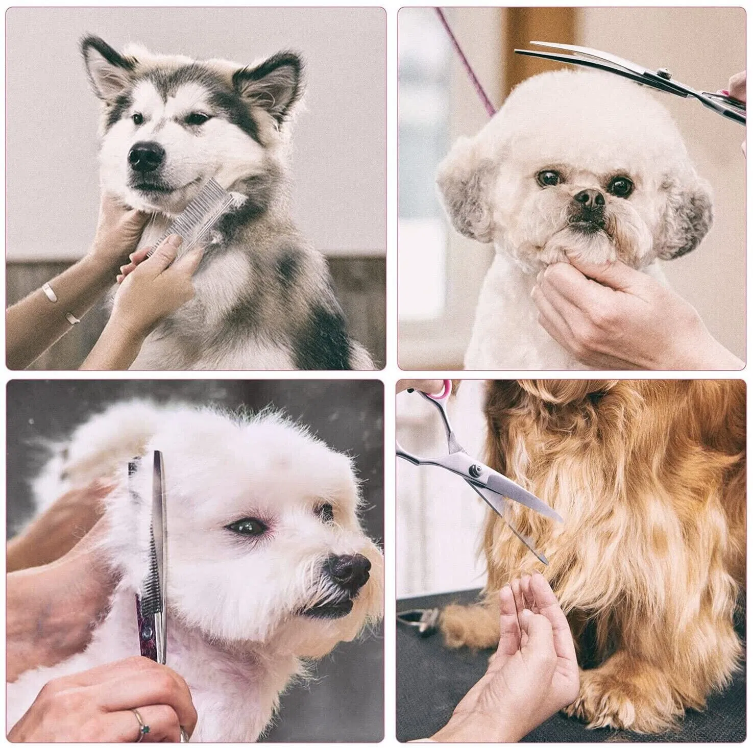 Pet Dog Grooming Scissors Stainless Straight Curved Thinning Shears Trimmer Kits photo 2