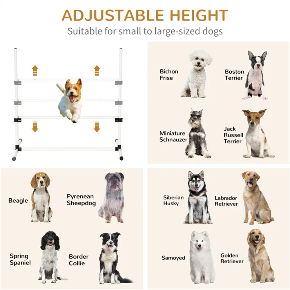 Dog agility training equipment photo 7