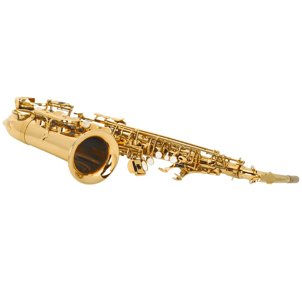 Alto Drop E Paint Gold Saxophone Paint Gold photo 2