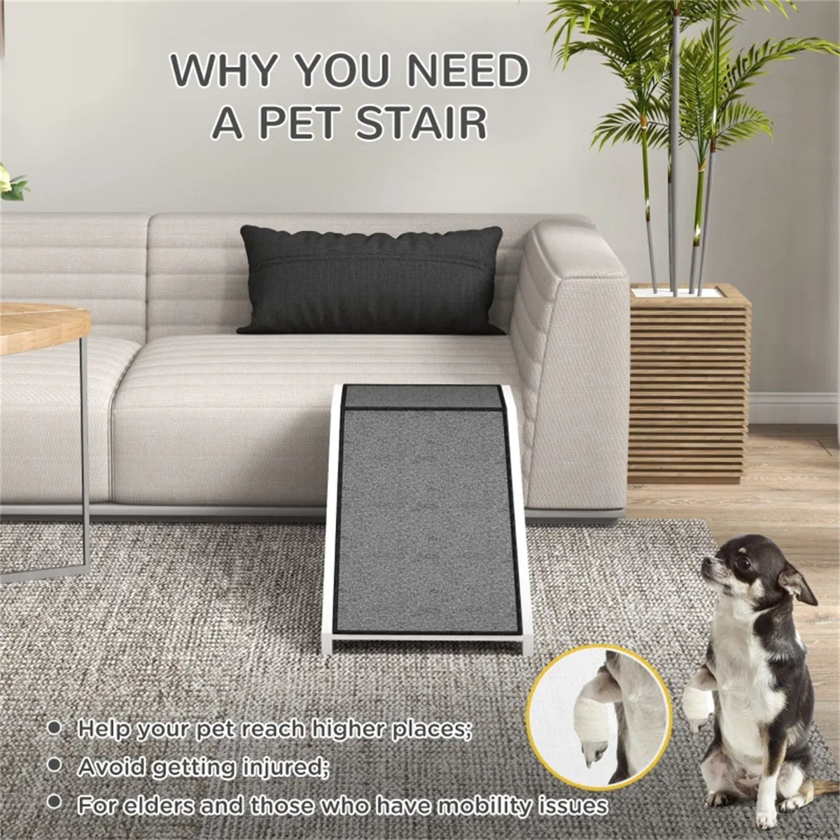 Pet Ramp ( Amazon Shipping)(Prohibited by WalMart) photo 2