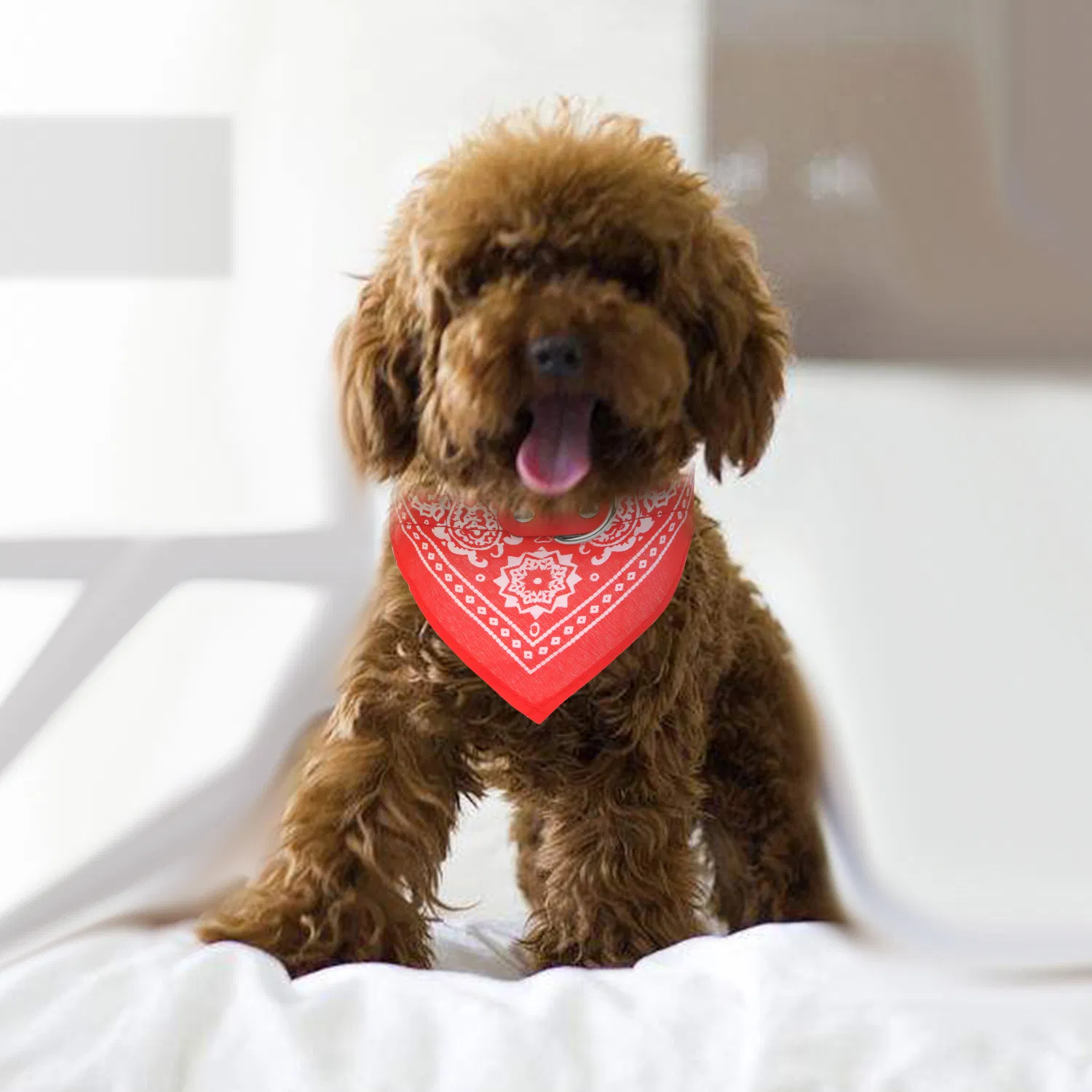 Adjustable Bandana Leather Pet Collar Triangle Scarf photo 1