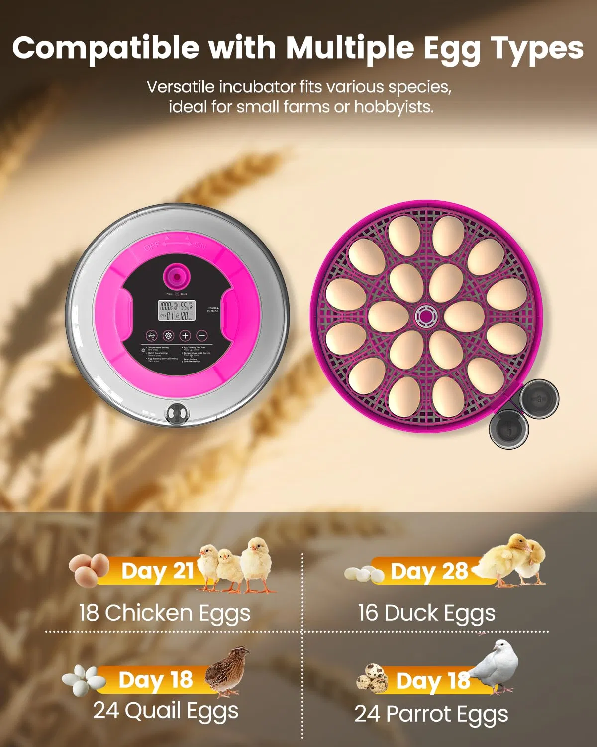 Incubator for Hatching Eggs, 18 Eggs Capacity, Incubators with Egg Candler, Automatic Egg Turner, Temperature & Humidity Control, Full Viewing for Chicken, Duck, Quail, Goose, Parrot, Pigeon photo 4