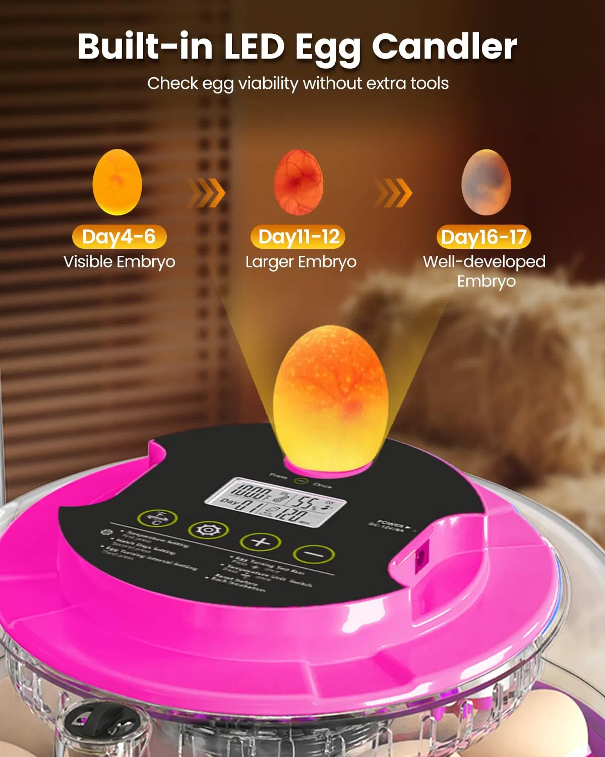 Incubator for Hatching Eggs, 18 Eggs Capacity, Incubators with Egg Candler, Automatic Egg Turner, Temperature & Humidity Control, Full Viewing for Chicken, Duck, Quail, Goose, Parrot, Pigeon photo 7